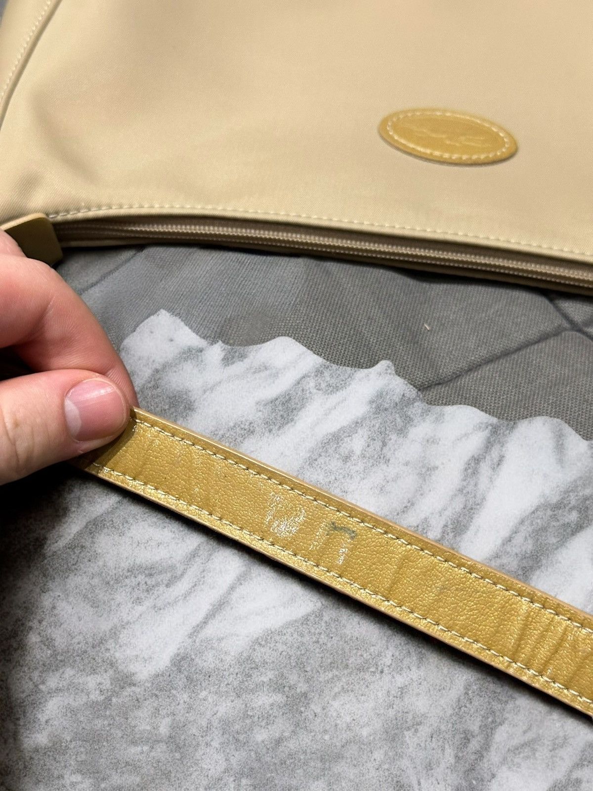 Longchamp Longchamp beige handbag Size ONE SIZE - 9 Thumbnail