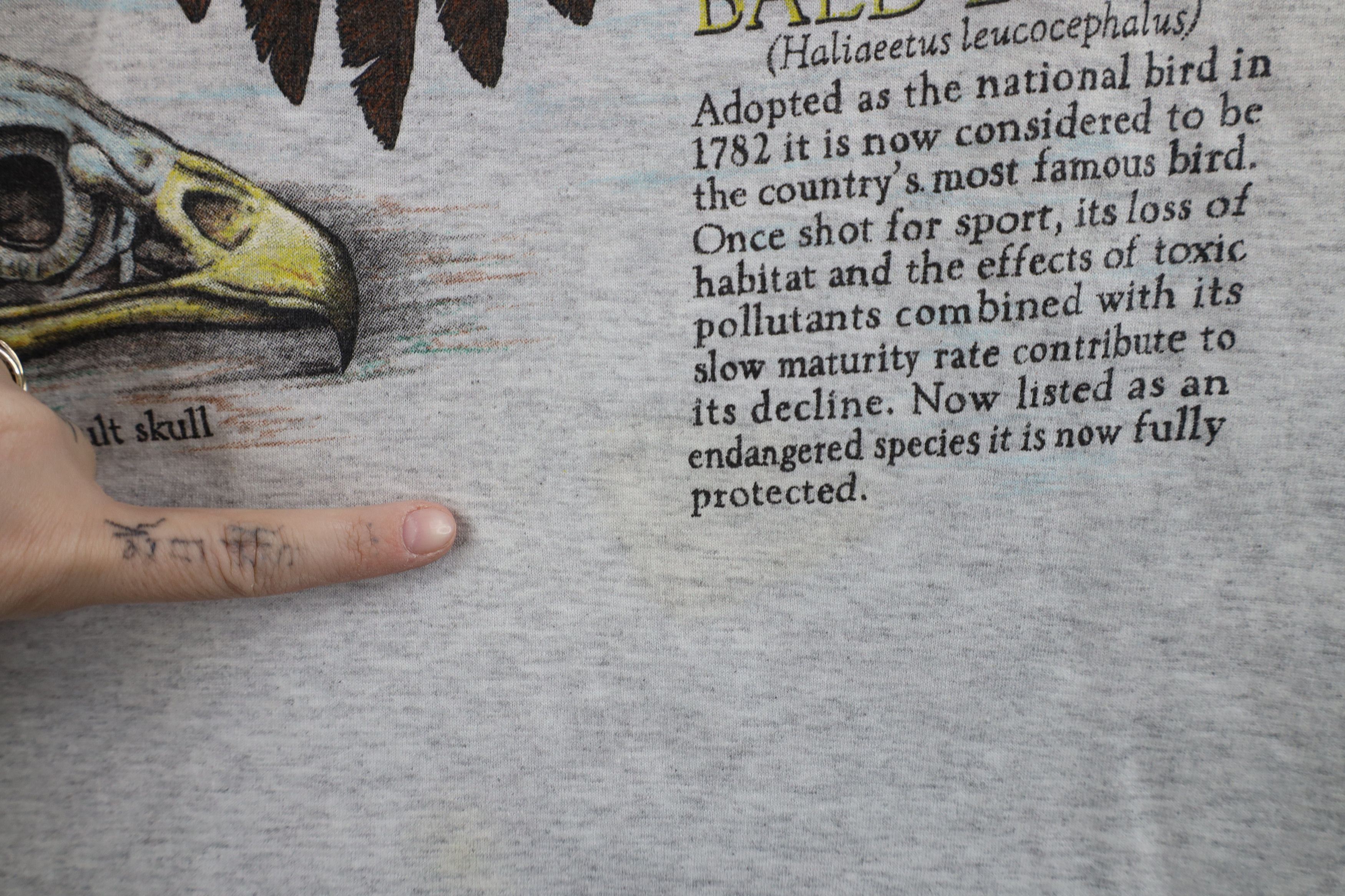 Vintage Vintage 90s Streetwear North American Bald Eagle T-Shirt USA Size US L / EU 52-54 / 3 - 10 Thumbnail