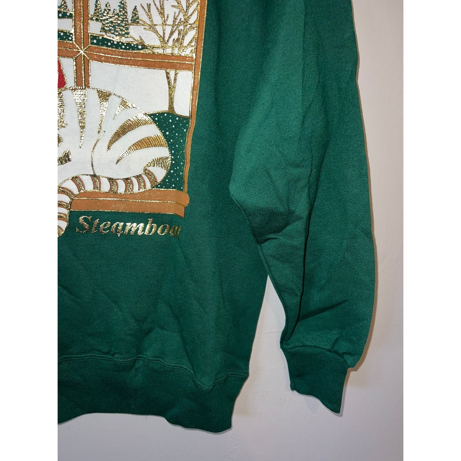 Hanes 90s Steamboat Colorado Green Cat Winter Snow Sweatshirt M Size US M / EU 48-50 / 2 - 7 Thumbnail