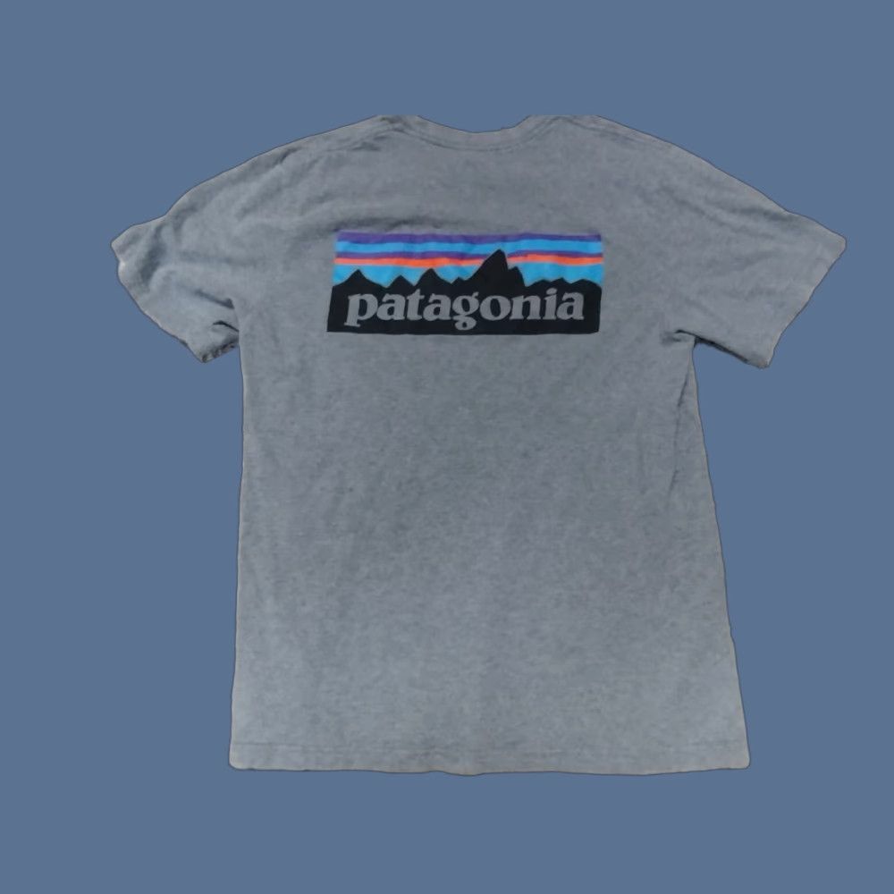 Patagonia Patagonia Gray Rare Retro Mountain Hiking Outdoors shirt S Men Small T-Shirt Size US S / EU 44-46 / 1 - 1 Thumbnail