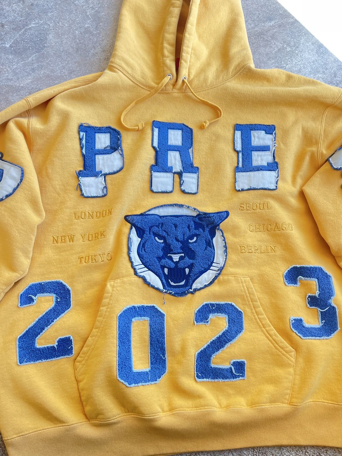 Supreme Supreme Washed Panther Hoodie FW 23 Size US L / EU 52-54 / 3 - 6 Thumbnail