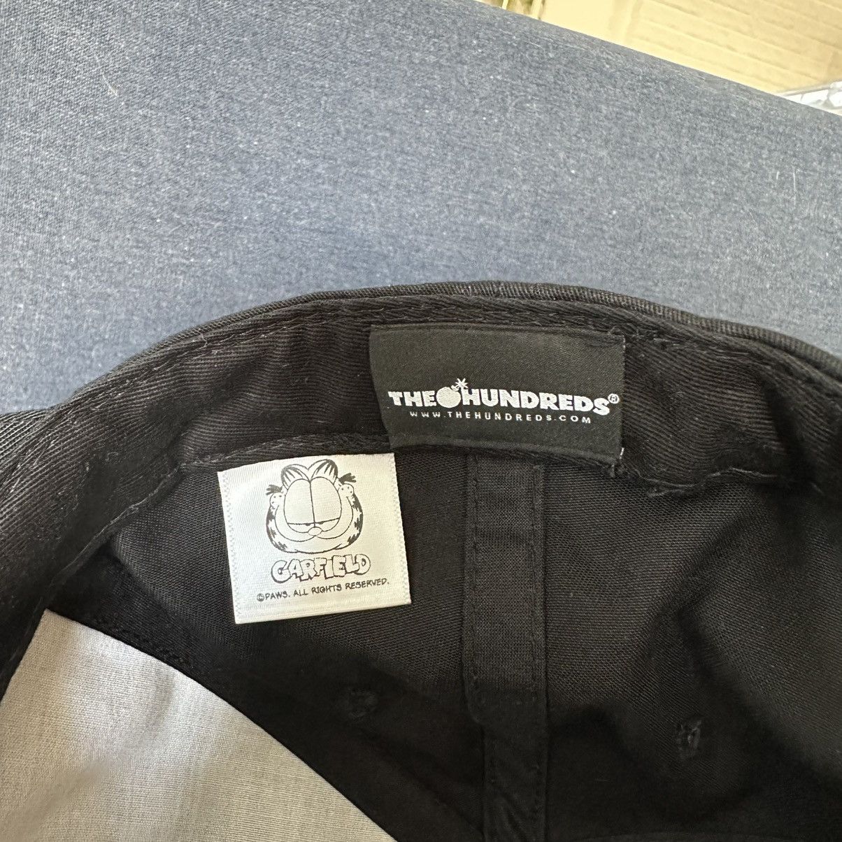 The Hundreds Garfield Family Style Snapback Hat, 2019 Festival Edition Size ONE SIZE - 8 Thumbnail