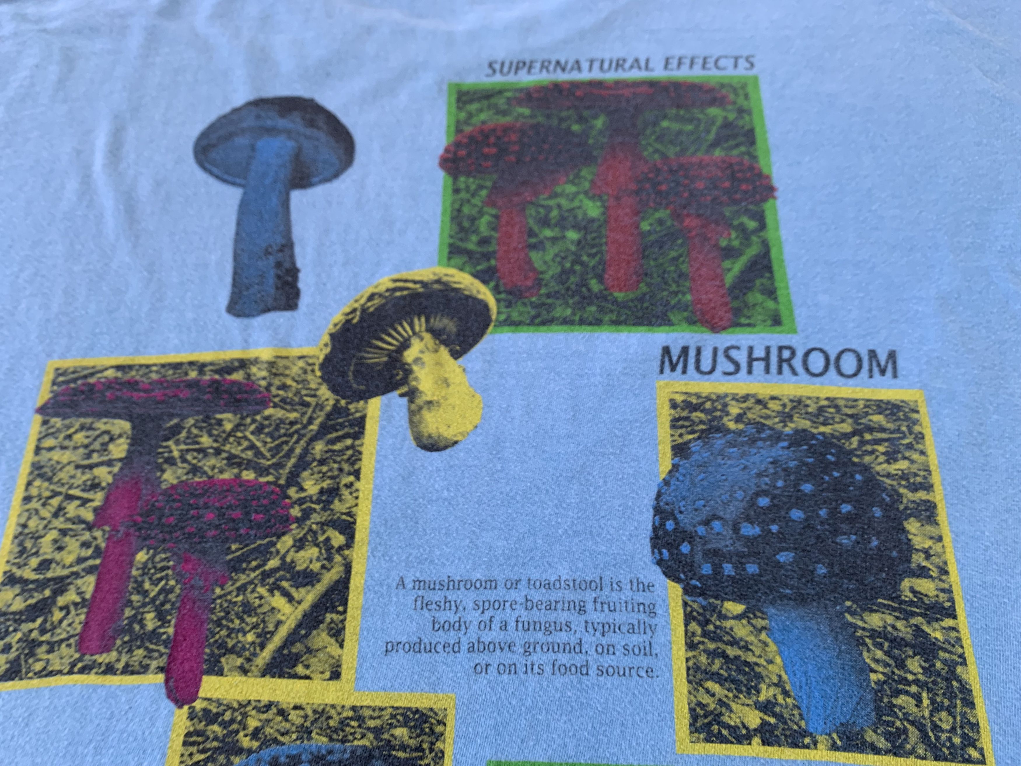 Arts & Science × Vintage Vintage Agaricus Bisporus Mushroom Printed T-Shirt Size US S / EU 44-46 / 1 - 10 Thumbnail