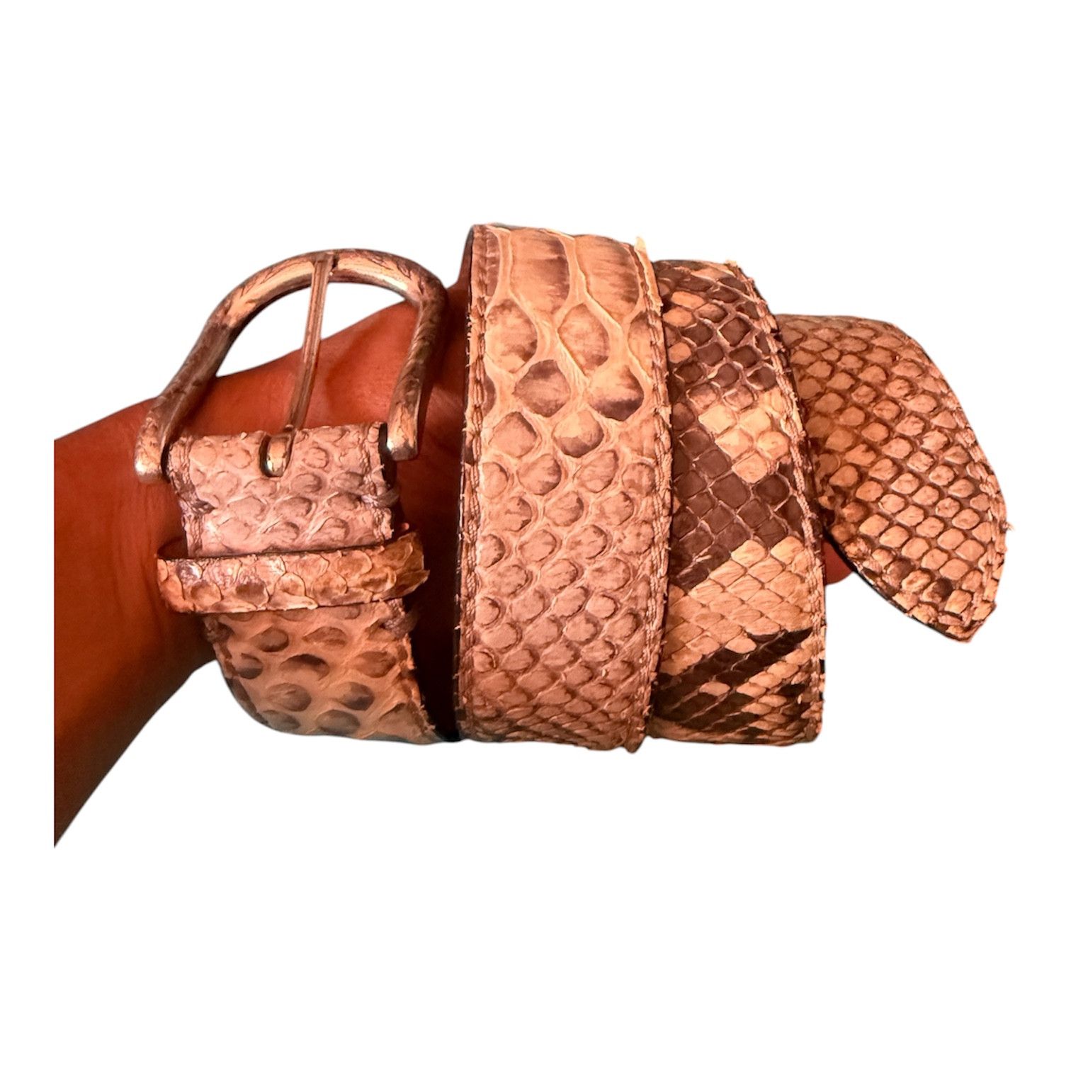 Other Reptile's house italy python snake natural leather Size ONE SIZE - 2 Thumbnail
