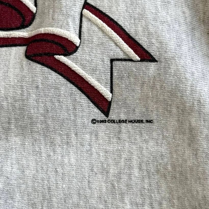 Vintage VINTAGE Ferris State University Crewneck Sweatshirt Sweatshirt M Gray Men Pullover Crew Neck 90s College University Sports Pattern Solid Size US M / EU 48-50 / 2 - 3 Thumbnail