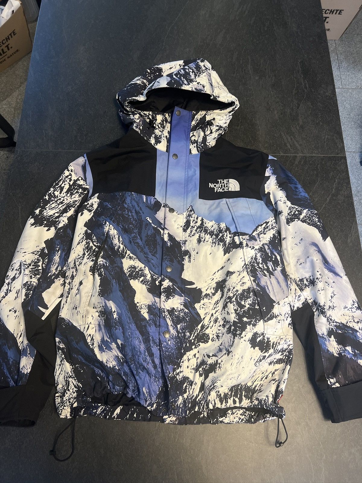 Supreme × The North Face Supreme x The North Face Mountain Parka 
