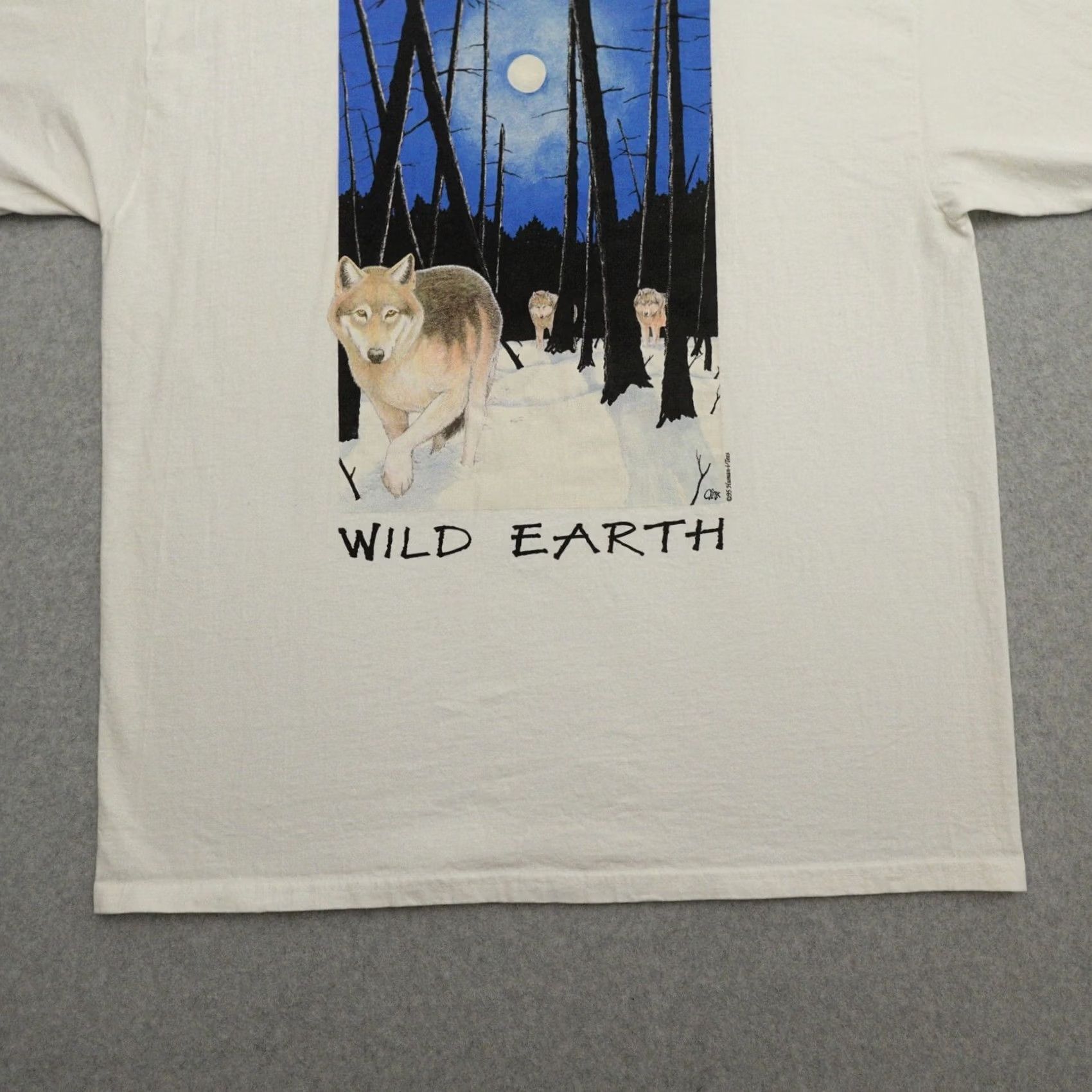 Hanes HANES VTG 90s T-Shirt Adult XL White Size US XL / EU 56 / 4 - 6 Thumbnail