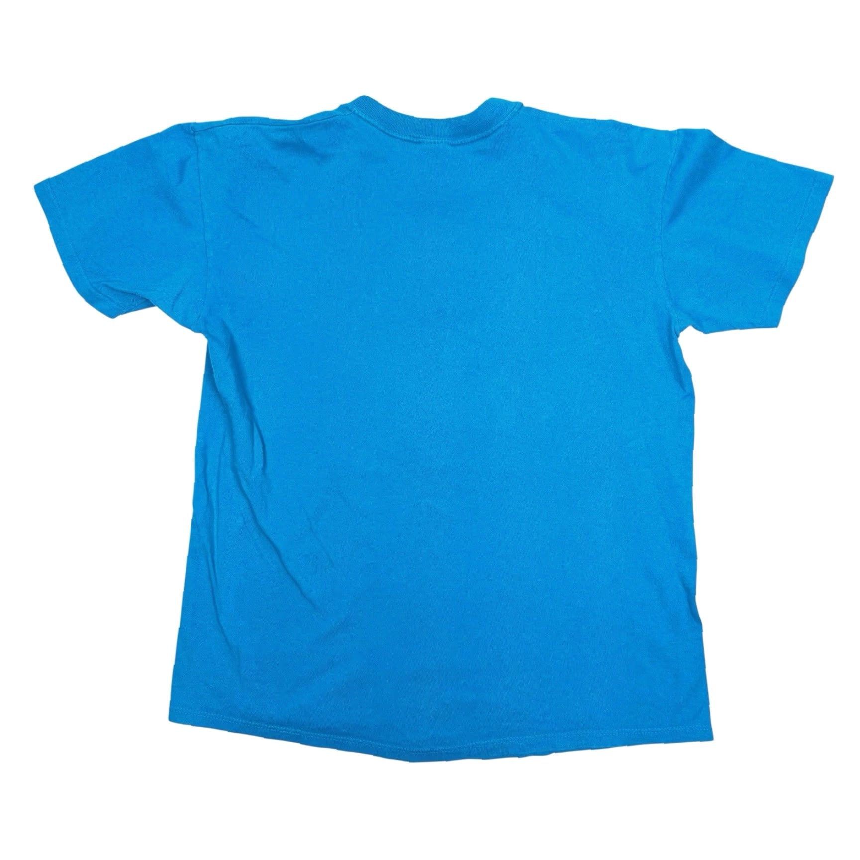 Altea VINTAGE Teal Apache Junction Cactus Single stitch T Shirt Mens Large blue 80s 90s Southwest USA Stedman Cotton Short Sleeve High Neck Shirt Size US L / EU 52-54 / 3 - 5 Thumbnail
