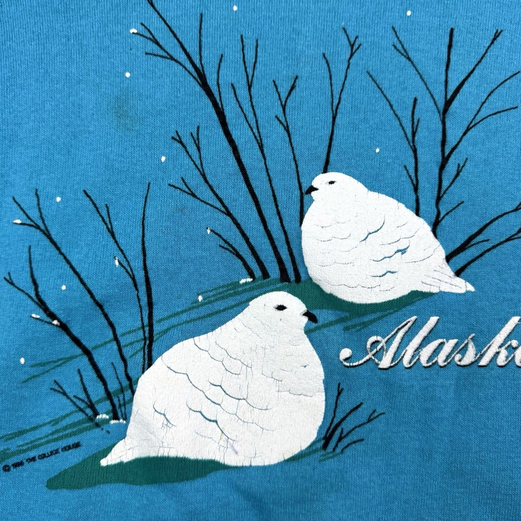 Vintage VINTAGE Alaska Doves Nature Sweatshirt Mens Adult Medium Blue 80s Raglan Cotton Blend Pullover Night? Size US M / EU 48-50 / 2 - 6 Thumbnail