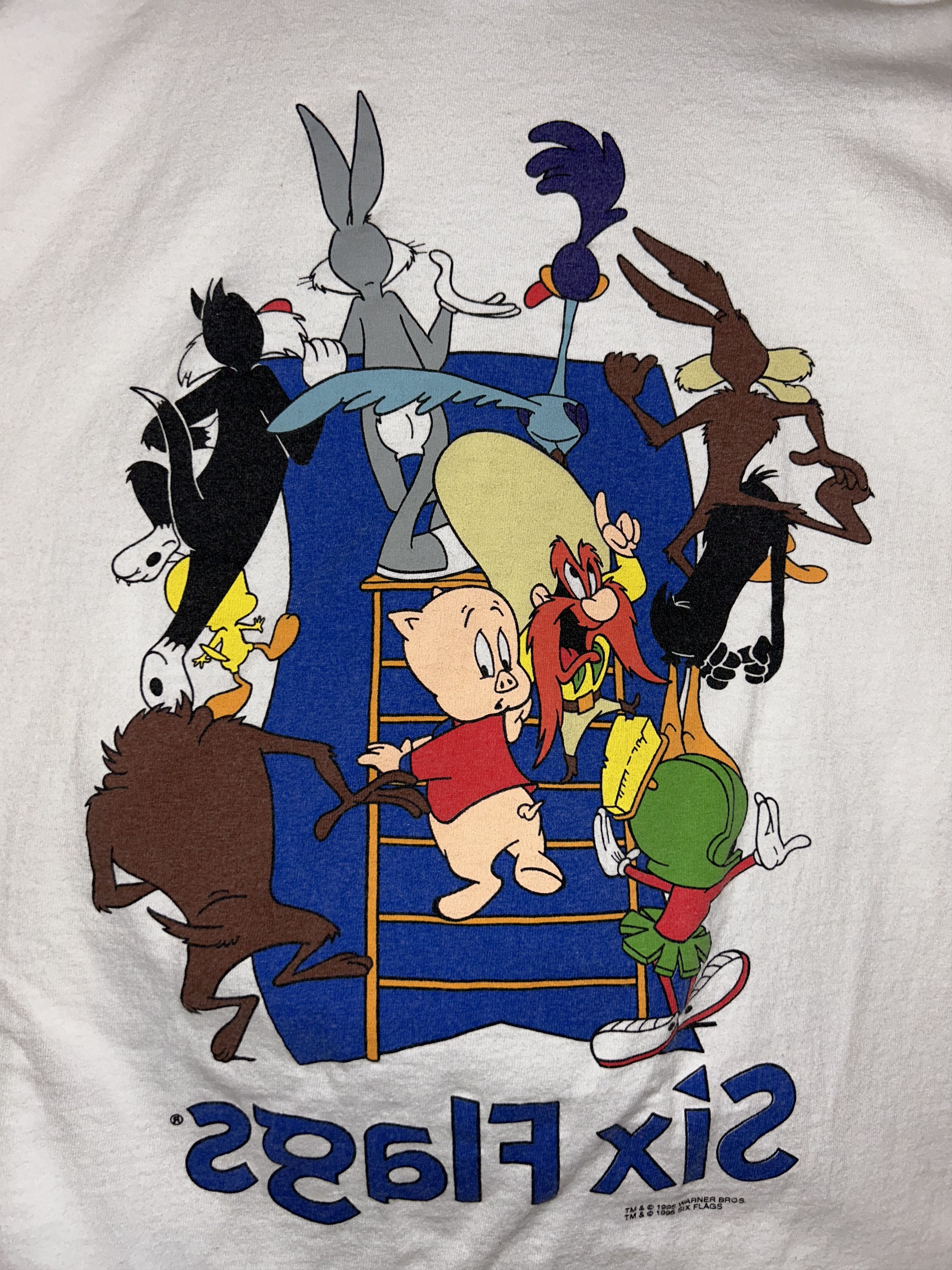 Vintage Vintage 1995 Six Flags Tee Size US L / EU 52-54 / 3 - 5 Thumbnail