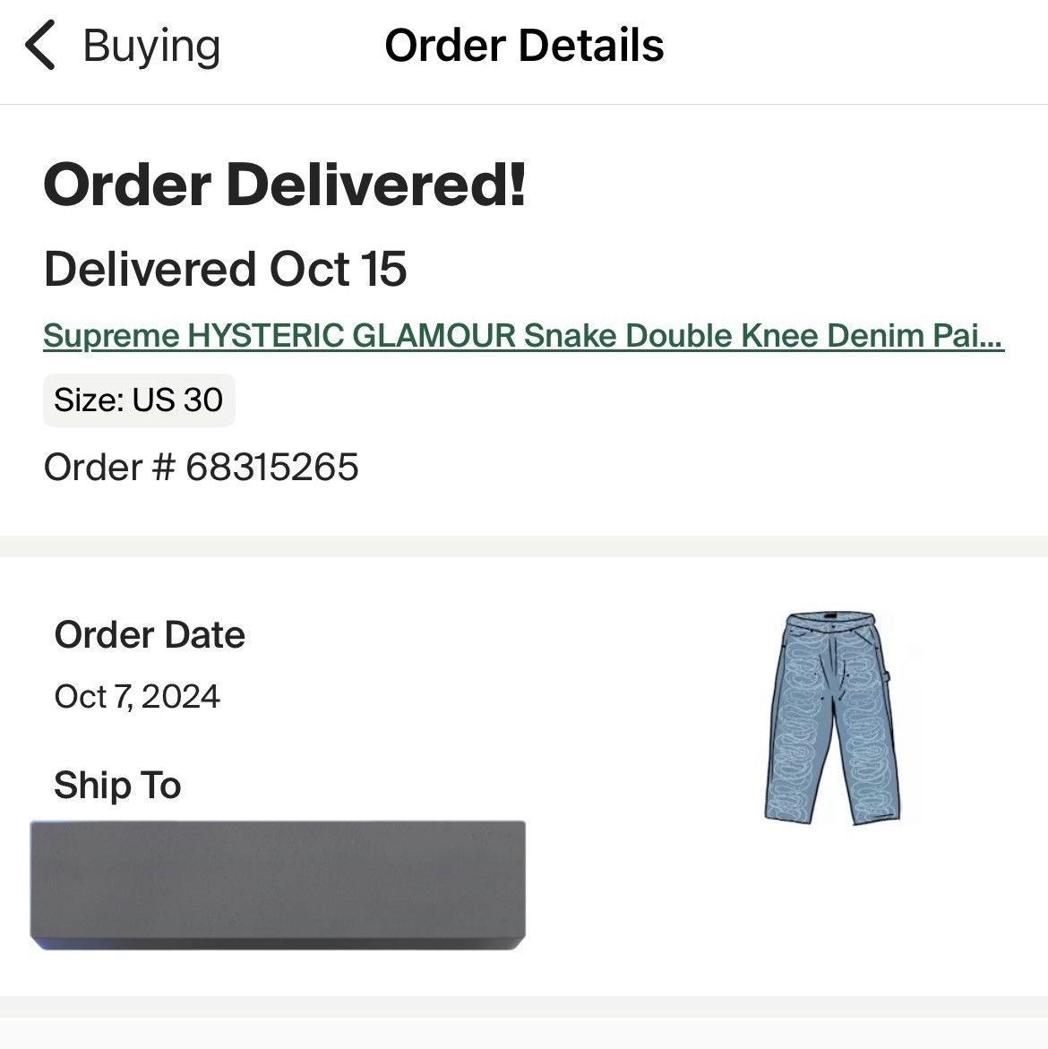 Hysteric Glamour × Supreme Supreme x Hysteric Glamour Snake Double Knee Size US 30 / EU 46 - 6 Thumbnail