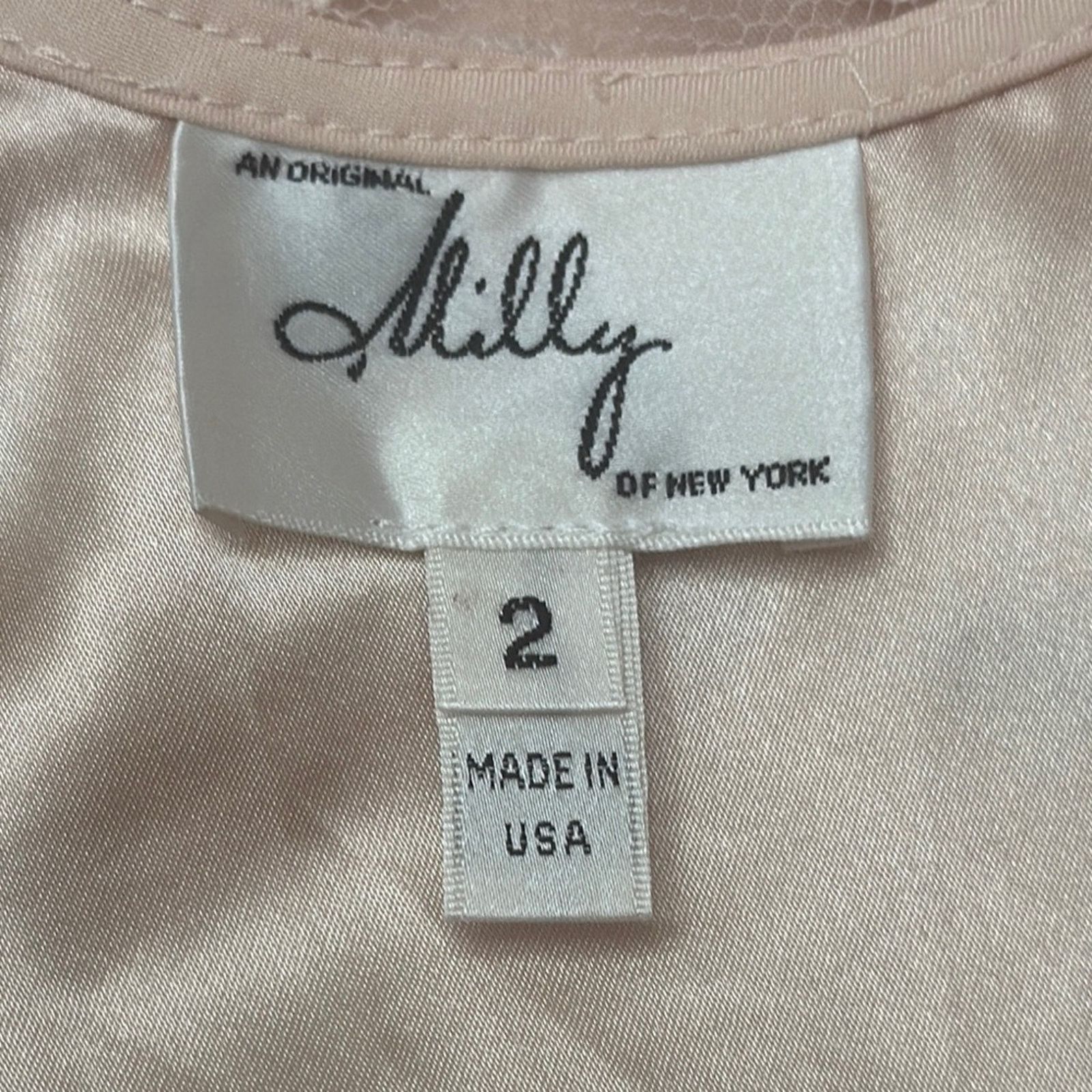 MILLY Milly Peach Lace Chevron Ruffle Mini Dress Size 2 Size XS / US 0-2 / IT 36-38 - 5 Thumbnail