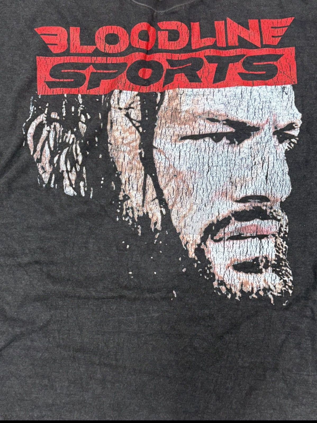 Other WWE Roman Reigns Bloodline Sports tee design by myself Size US XL / EU 56 / 4 - 2 Thumbnail