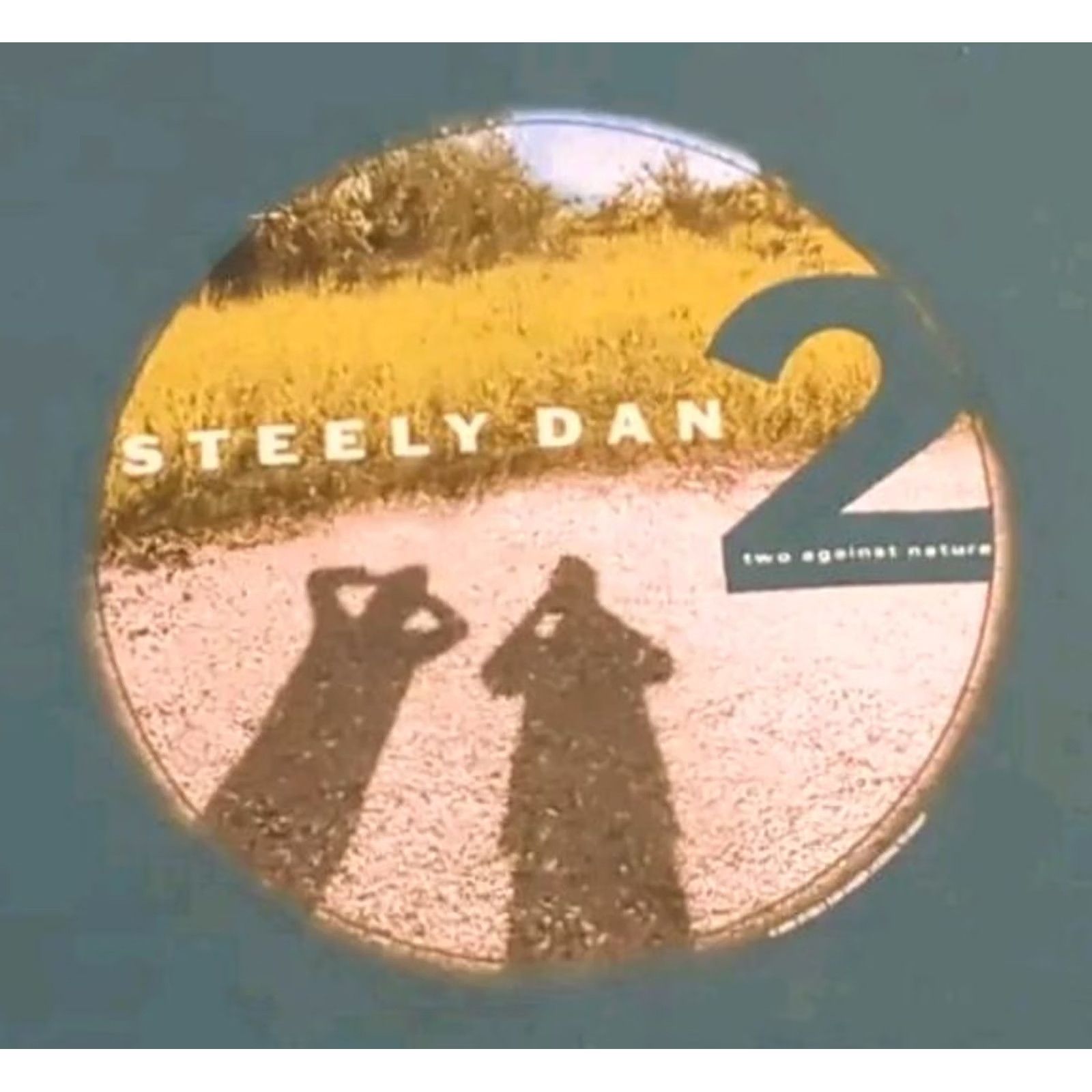 Doublet VINTAGE Steely Dan Band Shirt Two Against Nature Double Sided Medium Mens Size US M / EU 48-50 / 2 - 6 Thumbnail