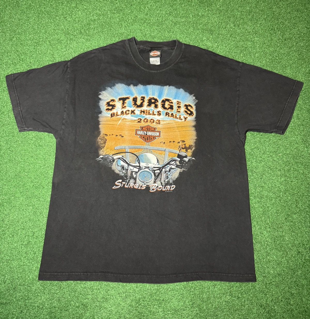Vintage Y2K Harley Davidson Sturgis Black Hills Rally T Shirt Size US XL / EU 56 / 4 - 1 Thumbnail