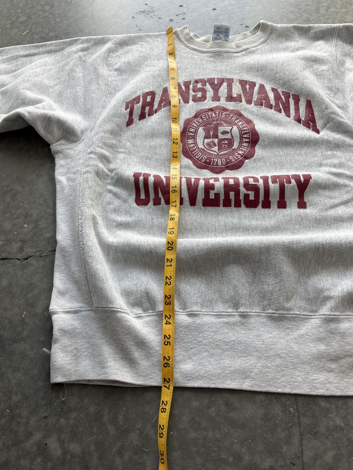 Champion Vintage 90s Champion Reverse Weave Transylvania University Size US L / EU 52-54 / 3 - 13 Thumbnail