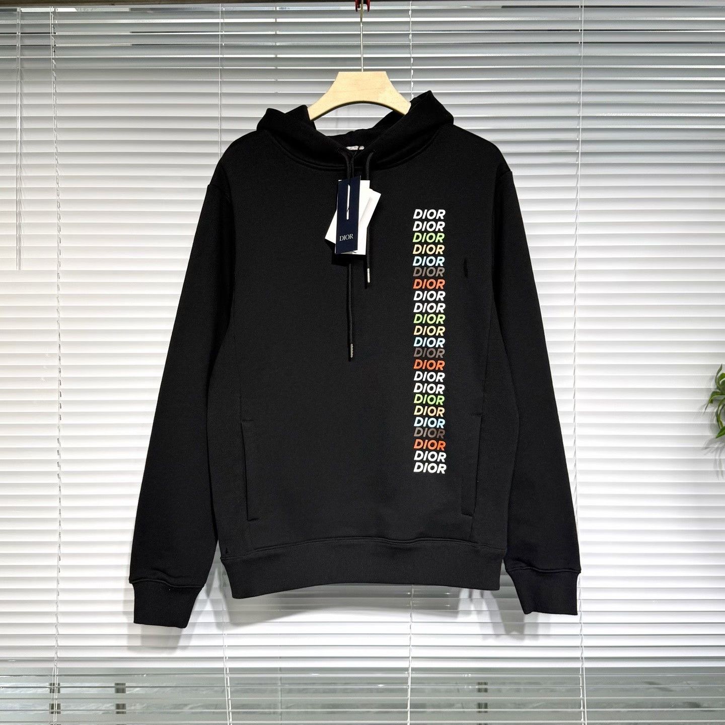 Dior Dior Rainbow Logo Hoodie XL SS24 Size US XL / EU 56 / 4 - 1 Thumbnail
