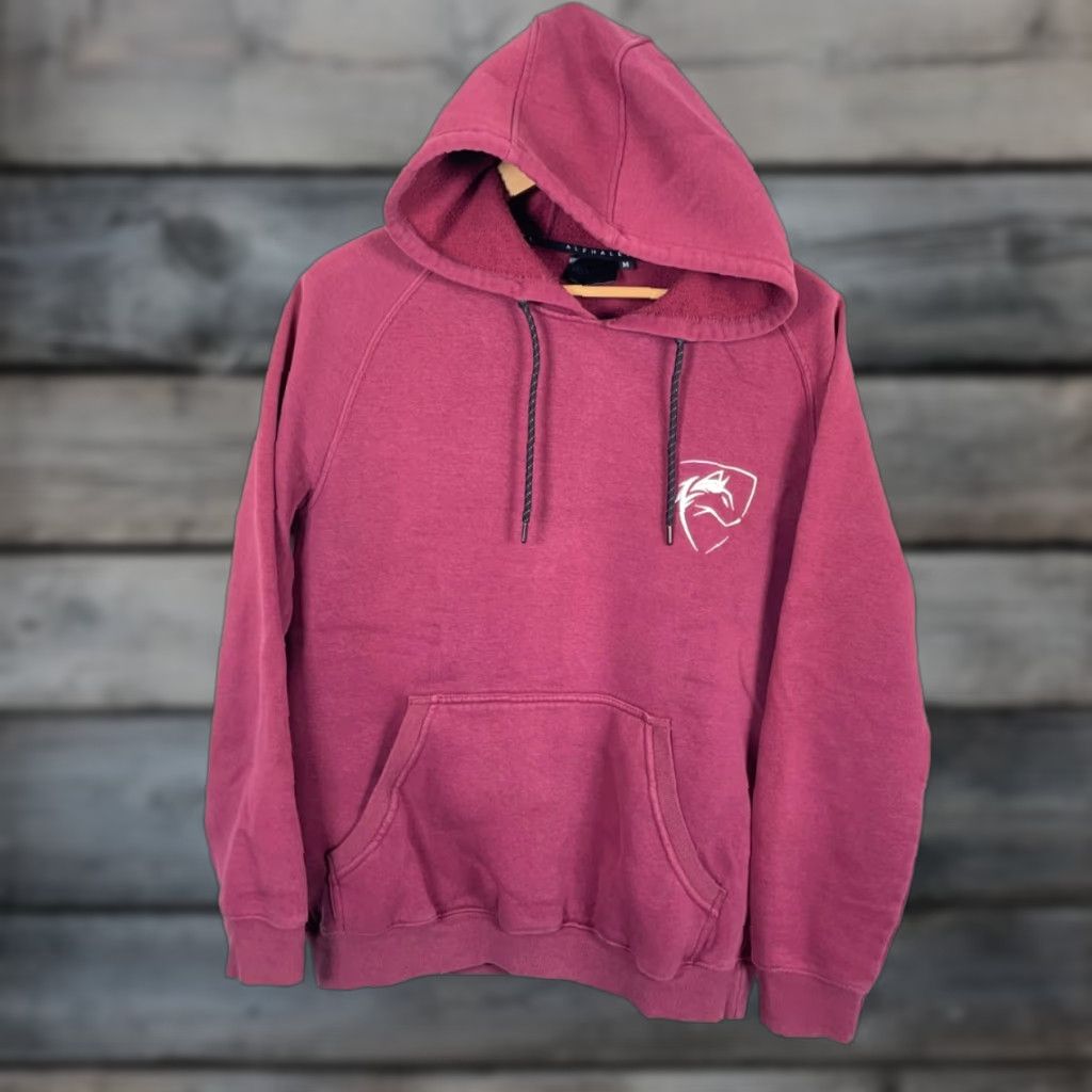 Vintage VINTAGE Alphalete Hoodie Shirt Adult Medium Red Gym Sports Logo Embroidered Pullover Sweatshirt 2016 Mens Sweatshirt Size US M / EU 48-50 / 2 - 1 Thumbnail