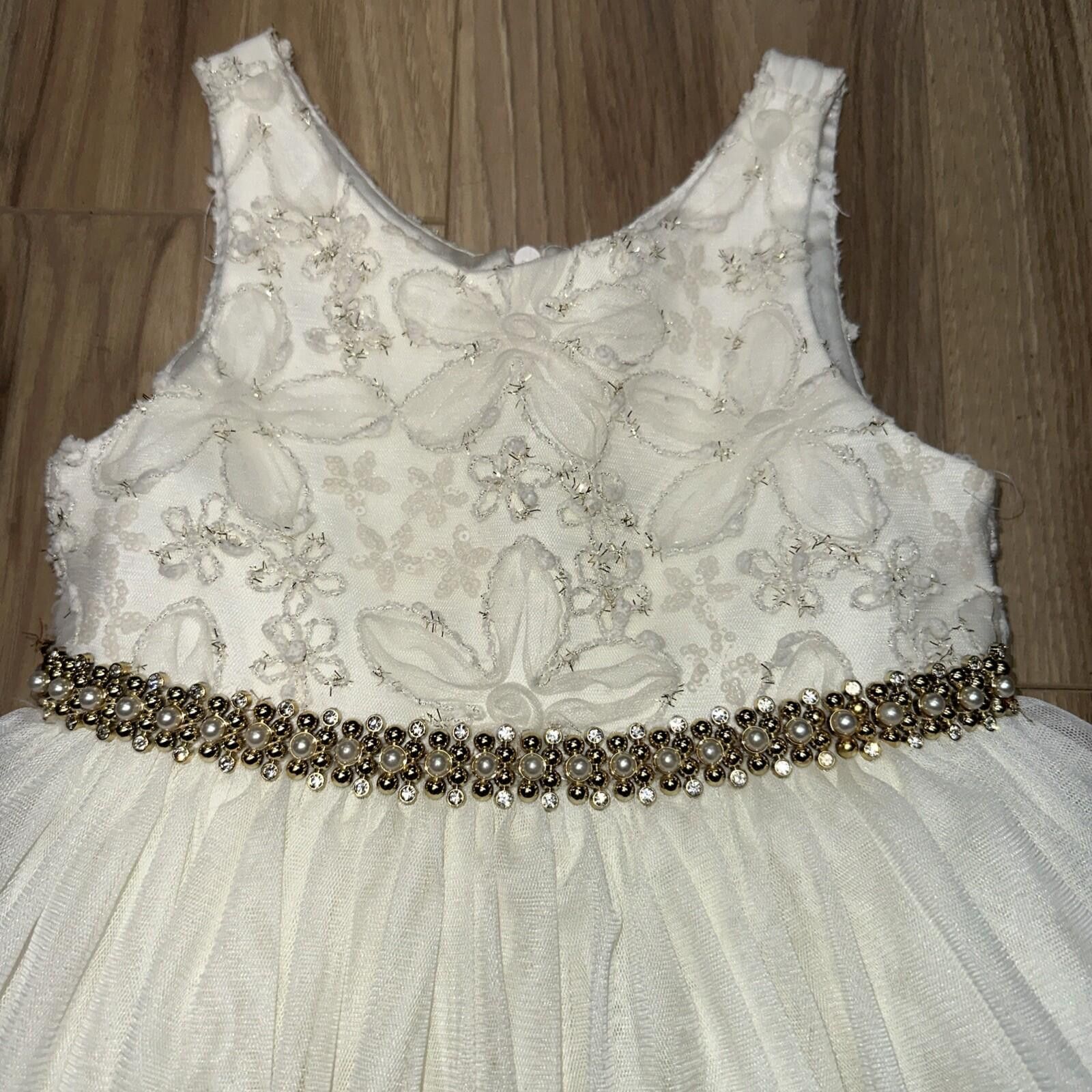 Other American Princess Girls Size 4T Ivory Lace Tulle Dress Size ONE SIZE - 2 Thumbnail