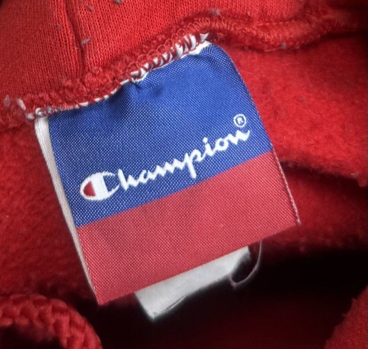 Champion Vintage Champion Terror Hardcore Hoodie Size US L / EU 52-54 / 3 - 9 Thumbnail