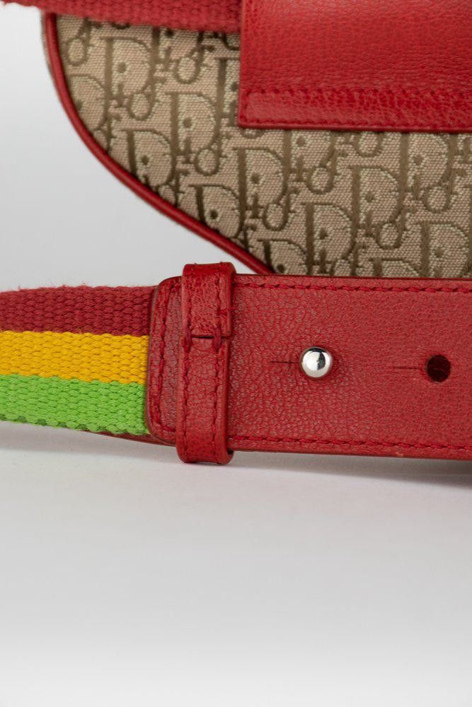 Dior Dior Rasta Trodder Saddle Belt Bag Size ONE SIZE - 8 Thumbnail