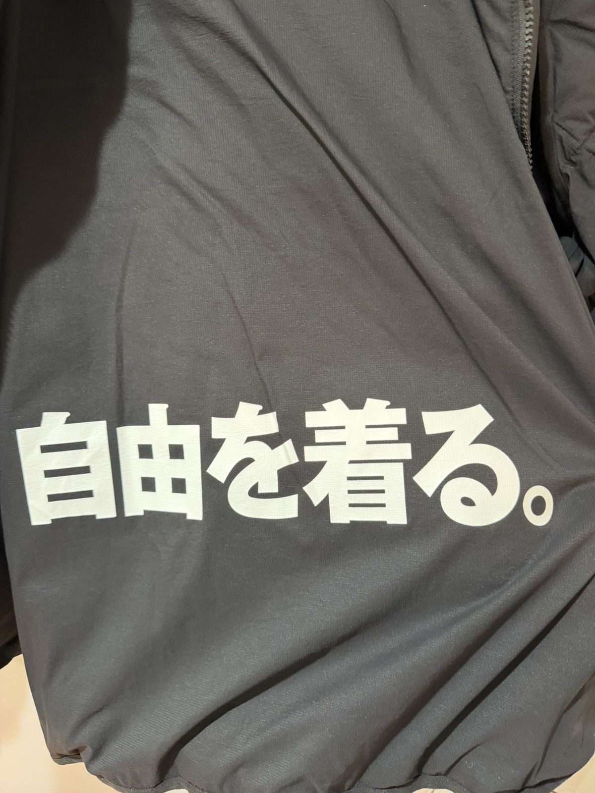 Comme des Garcons × The North Face The North Face x CDG Belay Liner Jacket XL Size US XL / EU 56 / 4 - 3 Thumbnail