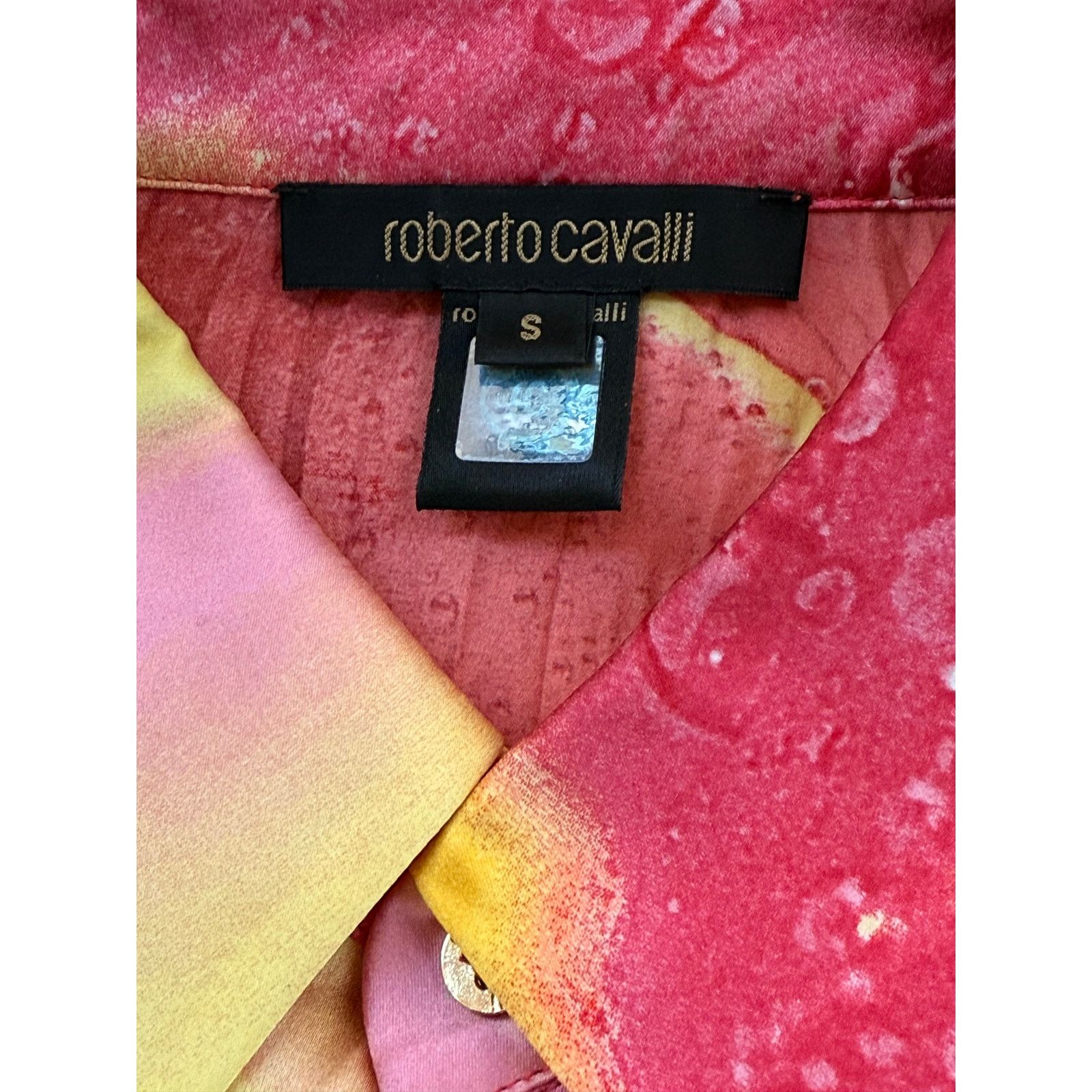 Roberto Cavalli Vintage Roberto Cavalli 2004 crinkle silk blouse size S Size S / US 4 / IT 40 - 5 Thumbnail
