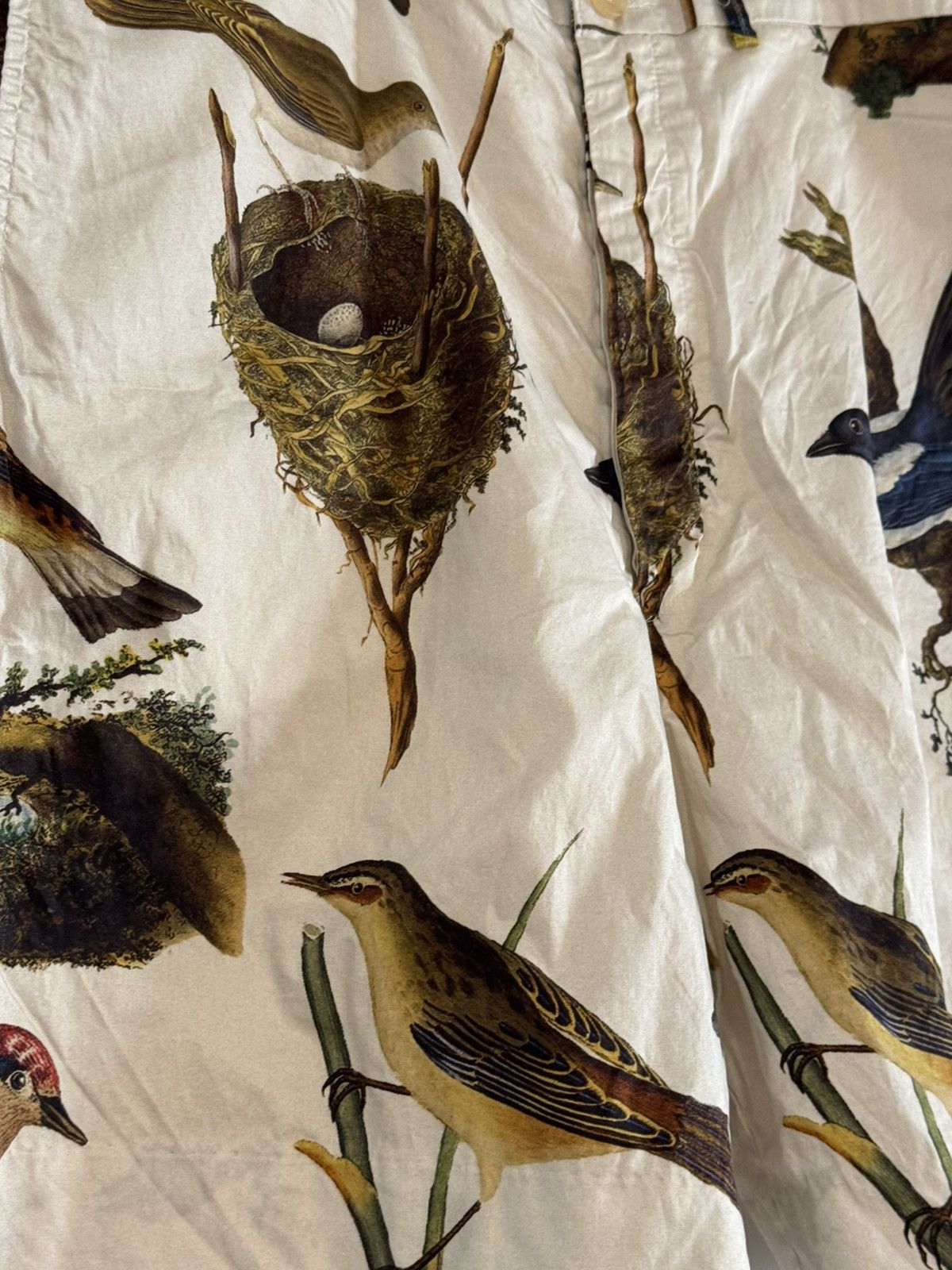 Paul Harnden Shoemakers Bird print Cotton Shorts Size US 36 / EU 52 - 2 Thumbnail