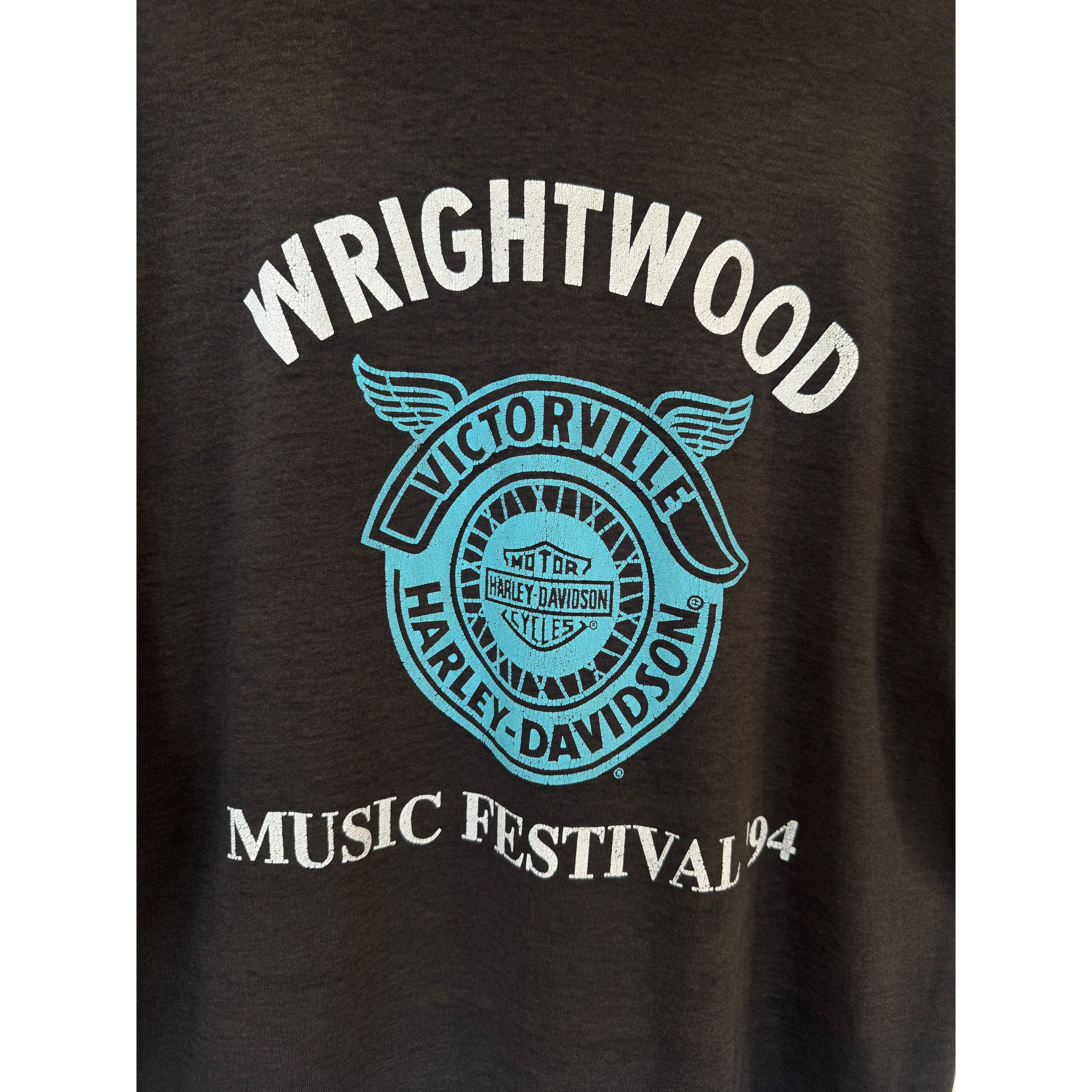 Vintage Wrightwood Music Festival 1994 Tee Size US XL / EU 56 / 4 - 5 Thumbnail