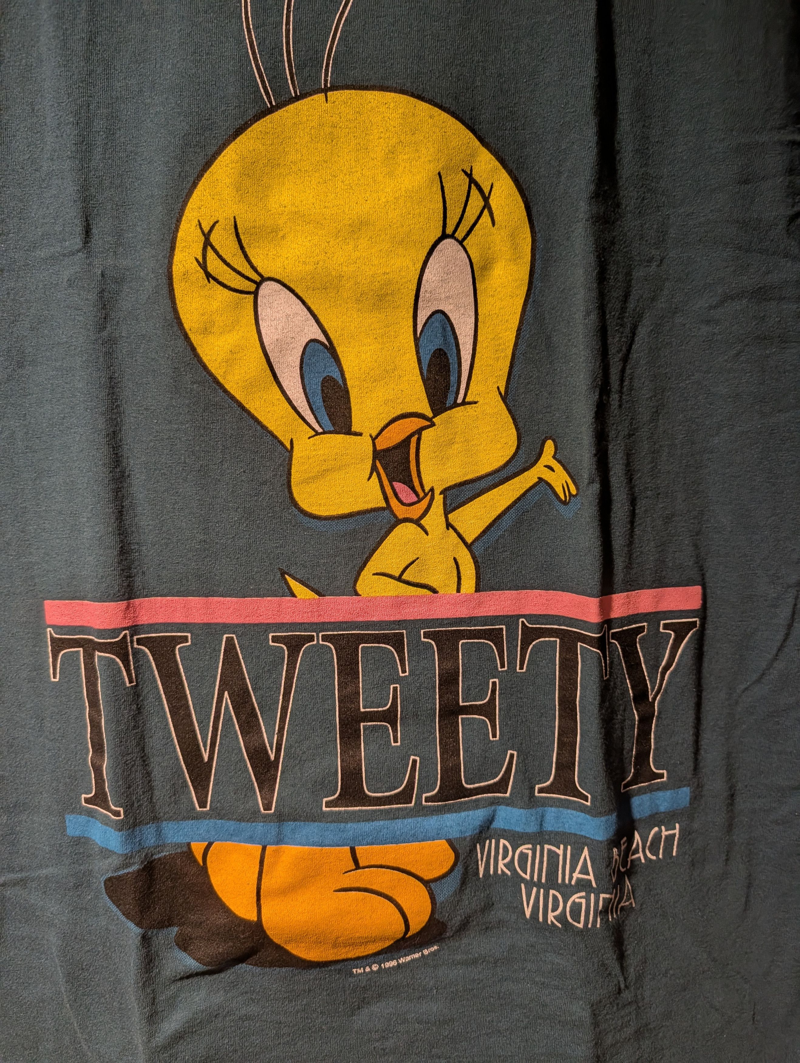 Warner Bros VTG 1996 Tweety Bird Virginia Beach Double Sided T Shirt Size US L / EU 52-54 / 3 - 2 Thumbnail