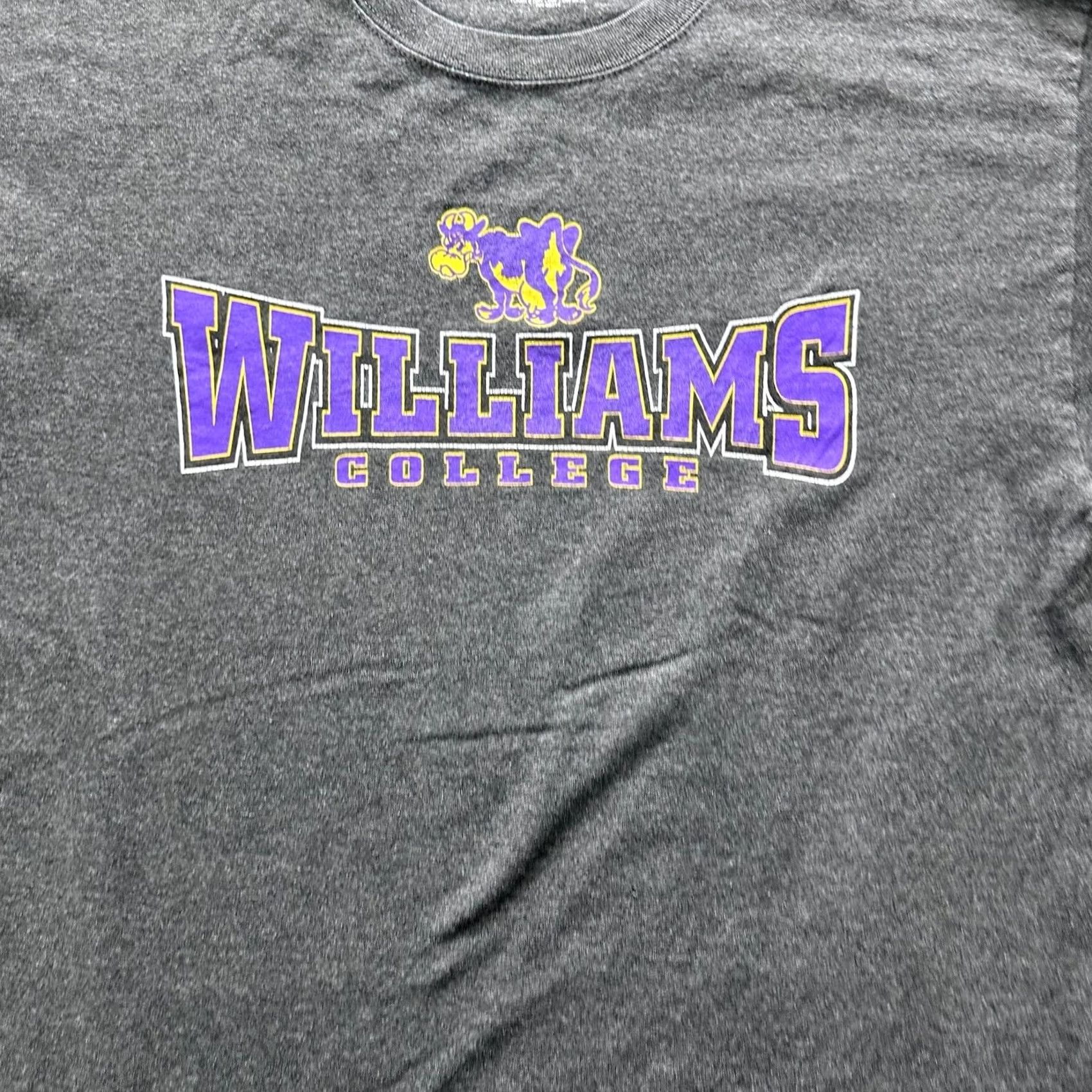 Champion Champion Shirt Mens L Gray Williams College Graphic Crewneck Cotton Jersey Size US L / EU 52-54 / 3 - 2 Thumbnail
