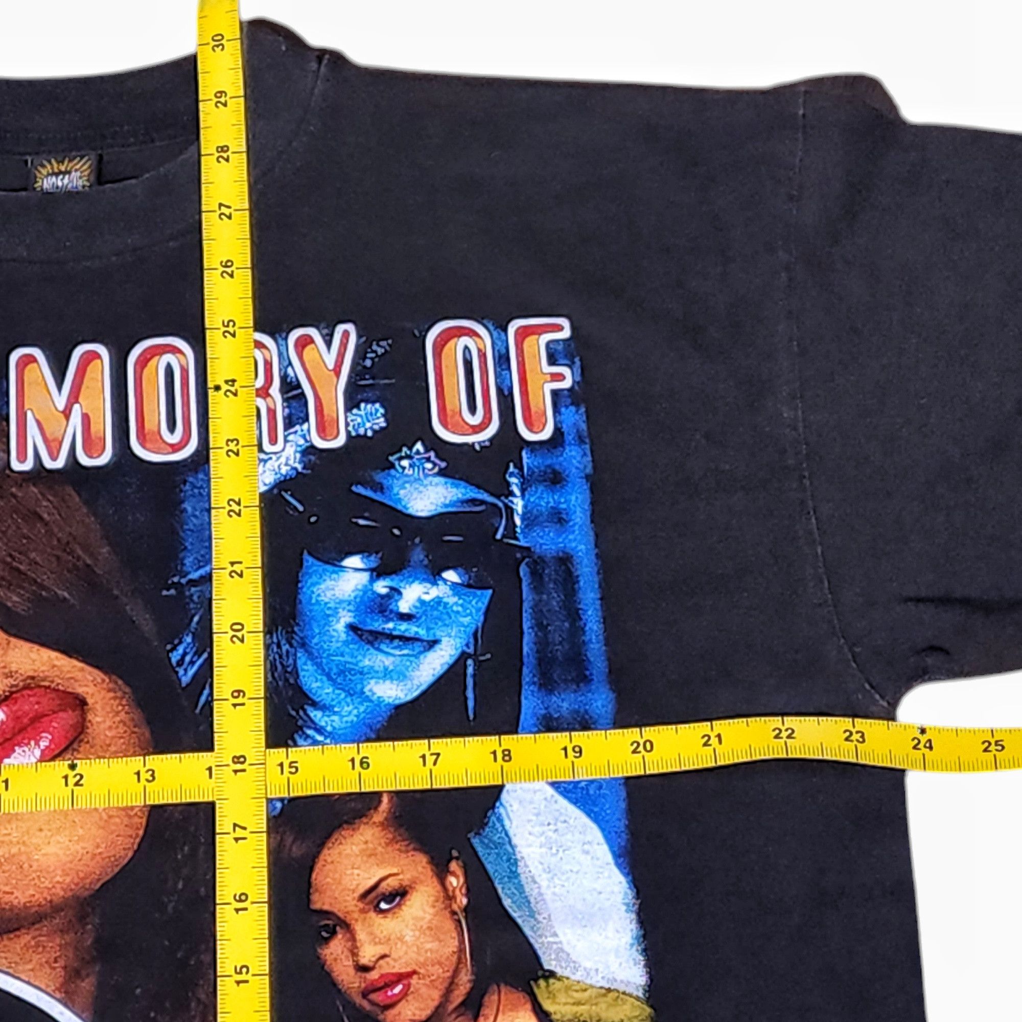 Rap Tees Rap Tees 👑 Aaliyah 👑 One in a Million memorial shirt Size US XL / EU 56 / 4 - 7 Thumbnail