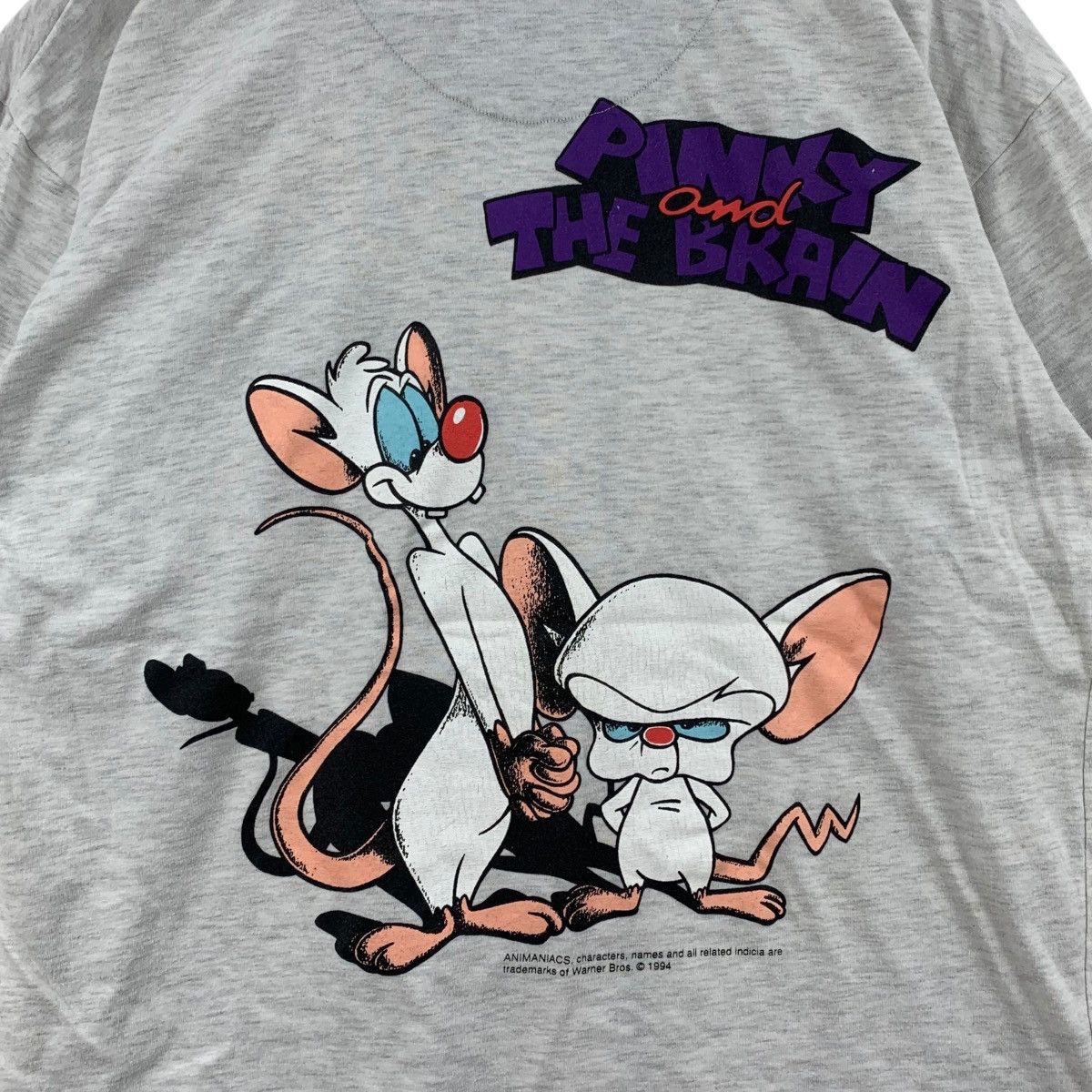 Vintage Vintage 1994 PINKY And THE BRAIN Animaniacs Warner Tshirt Size US L / EU 52-54 / 3 - 5 Thumbnail