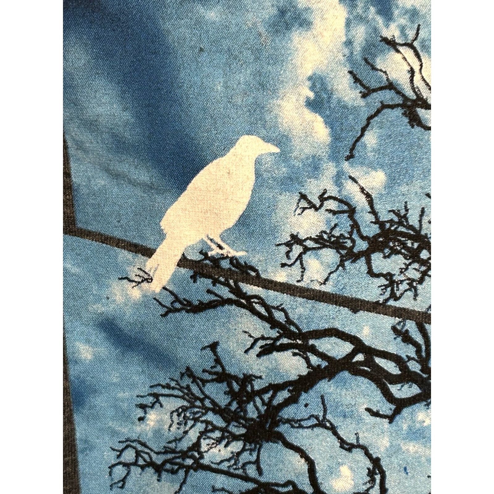 Vintage Tony Hawk Skateboarding Nature T Shirt Men XL Gray Short Sleeve Birds Trees Graphic Print Size US XL / EU 56 / 4 - 5 Thumbnail
