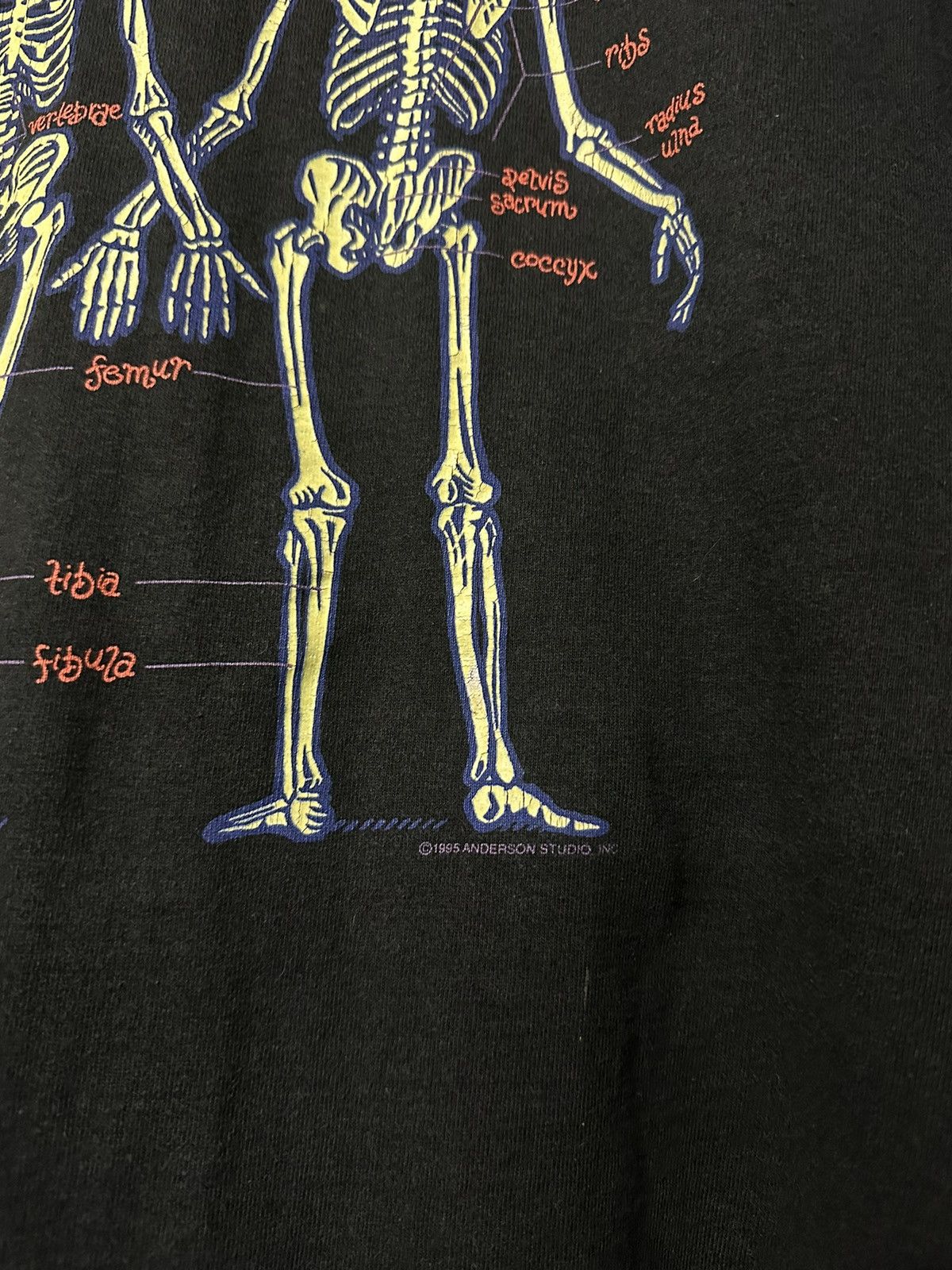 Vintage Vintage 90s The Bones Anatomy Anderson Studio Museum Faded T Size US L / EU 52-54 / 3 - 3 Thumbnail