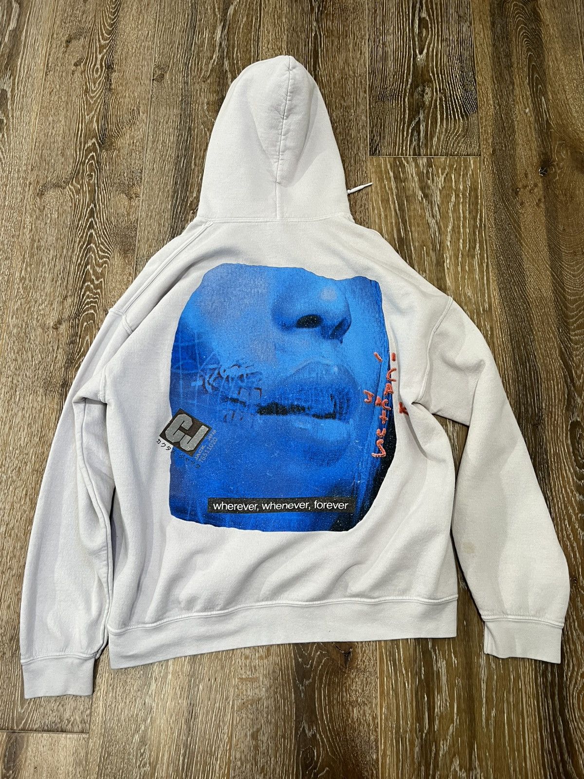 Travis Scott Travis Scott Cactus Jack Cyber Girl Hoodie Size US M / EU 48-50 / 2 - 1 Thumbnail