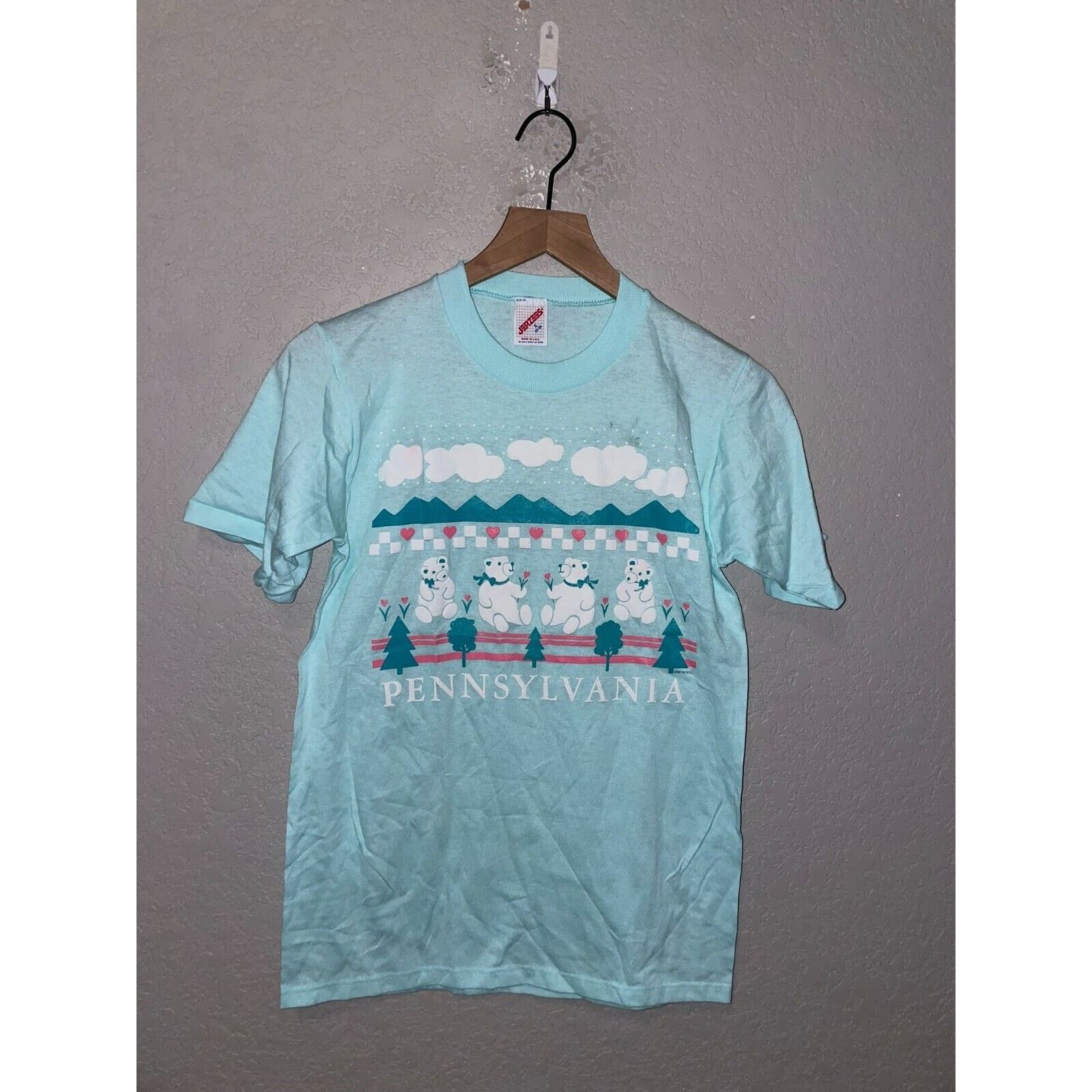 Jerzees 1980s Vintage Pennsylvania Shirt Teddy bear Blue Tee VTG M Size US S / EU 44-46 / 1 - 1 Thumbnail