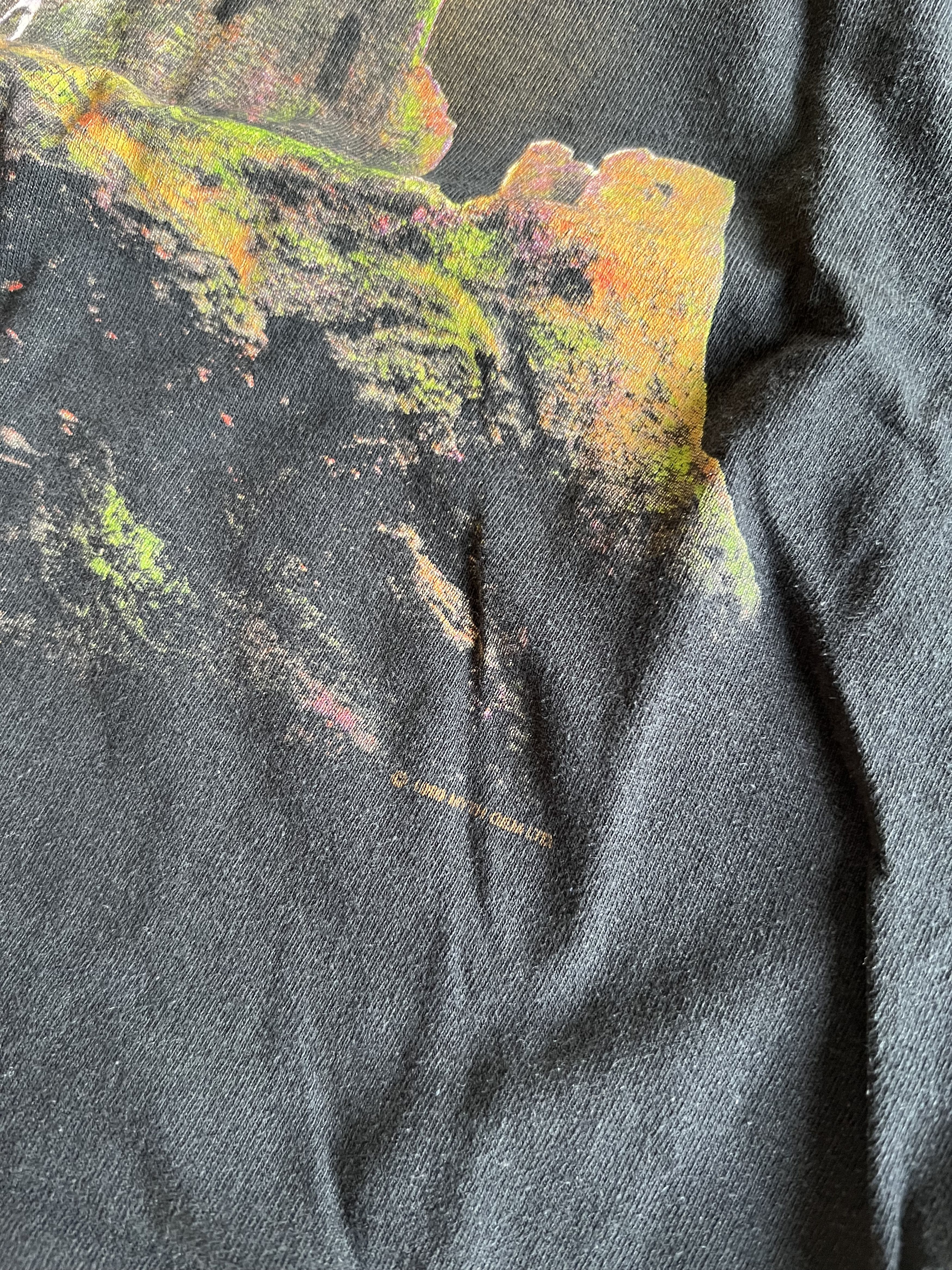 Band Tees 1999 Led Zeppelin New Day will Dawn Tee Tultex Tag Size US XL / EU 56 / 4 - 3 Thumbnail