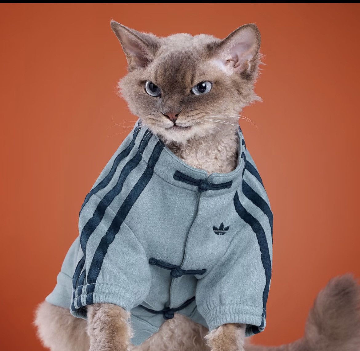 Adidas Adidas Pet CTT Chinese Style Soft Track Top Blue size M Size ONE SIZE - 3 Thumbnail