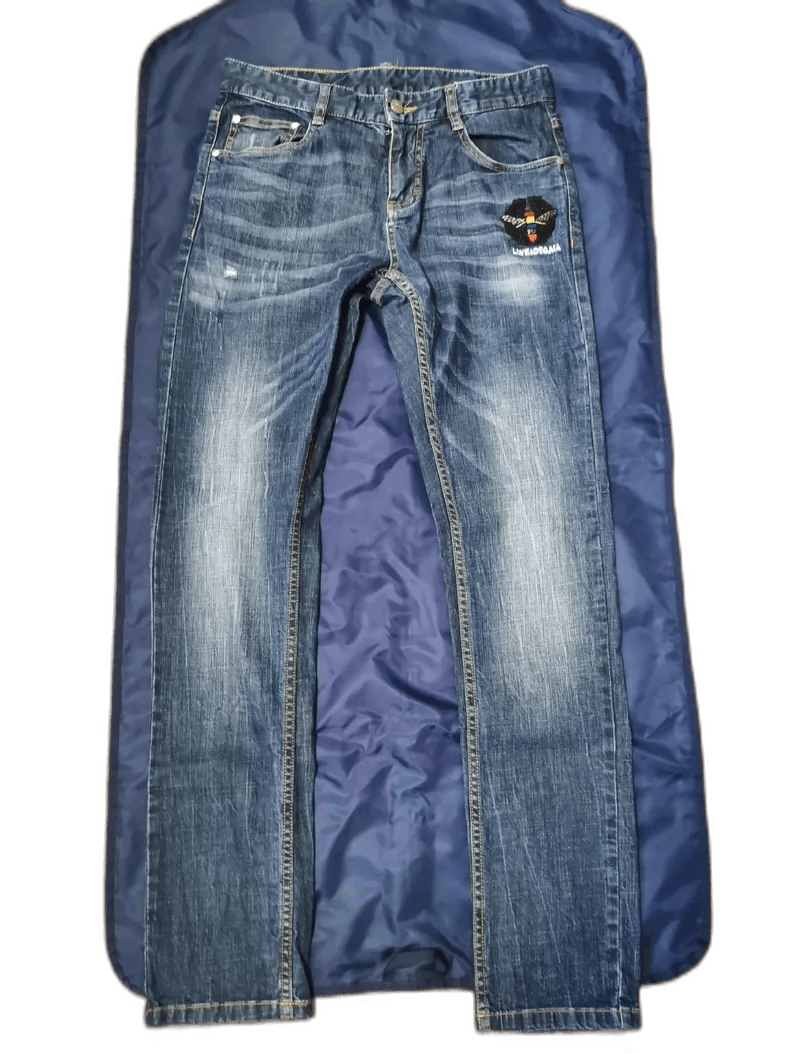 Vintage Degaia Distressed Embroidered Denim Jeans Size US 30 / EU 46 - 1 Thumbnail