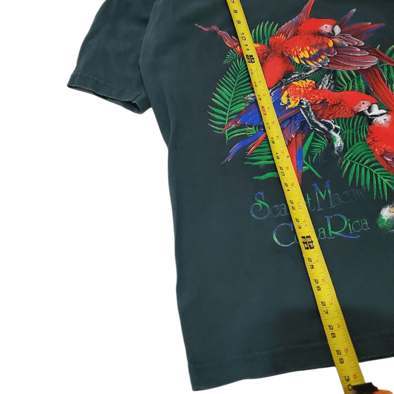 Vintage Vintage 2010s Scarlet Macaw T-Shirt Size US L / EU 52-54 / 3 - 6 Thumbnail