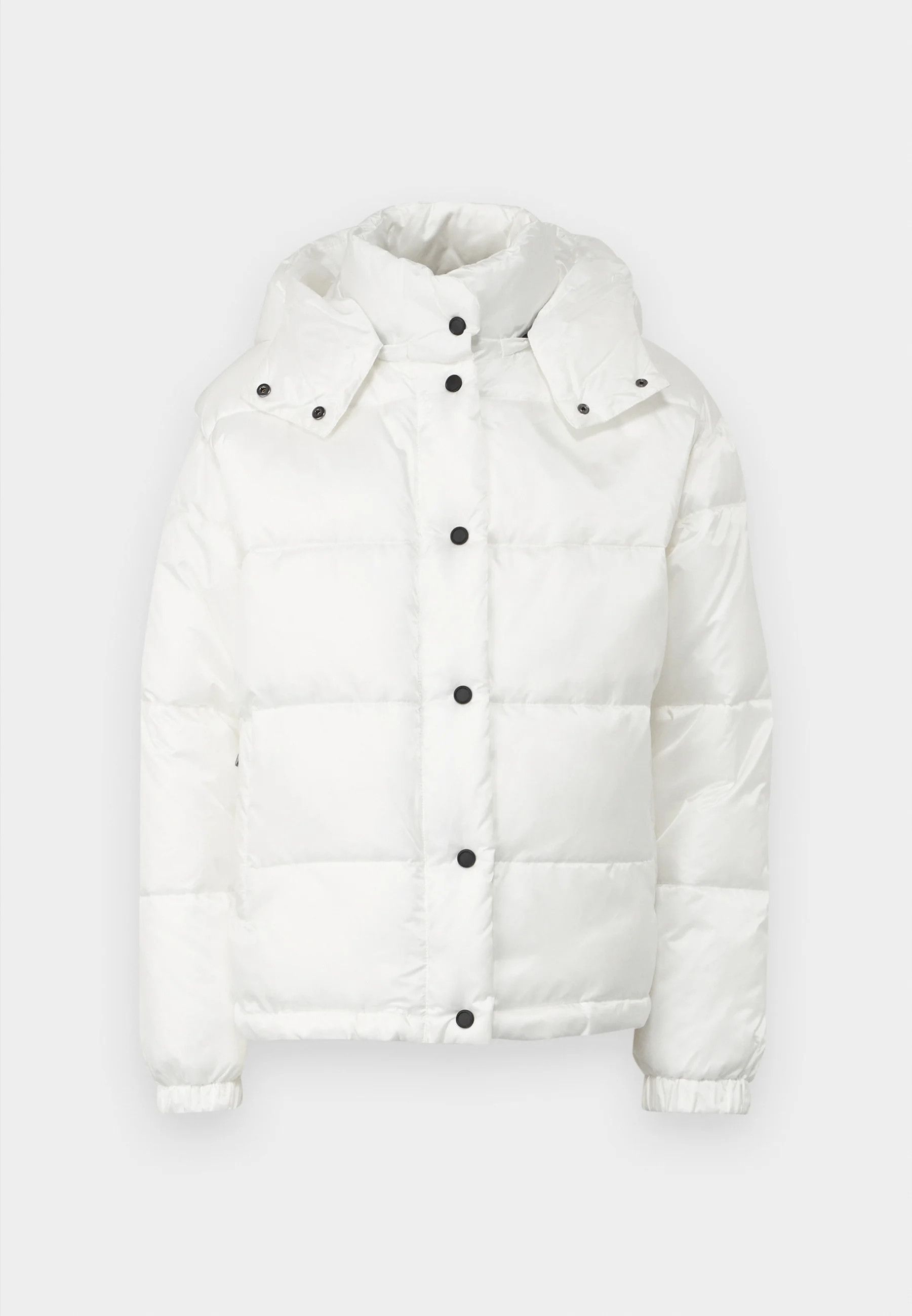 Pinko o1s22i1n0824 Hooded Down Jacket in White Size XS / US 0-2 / IT 36-38 - 1 Thumbnail