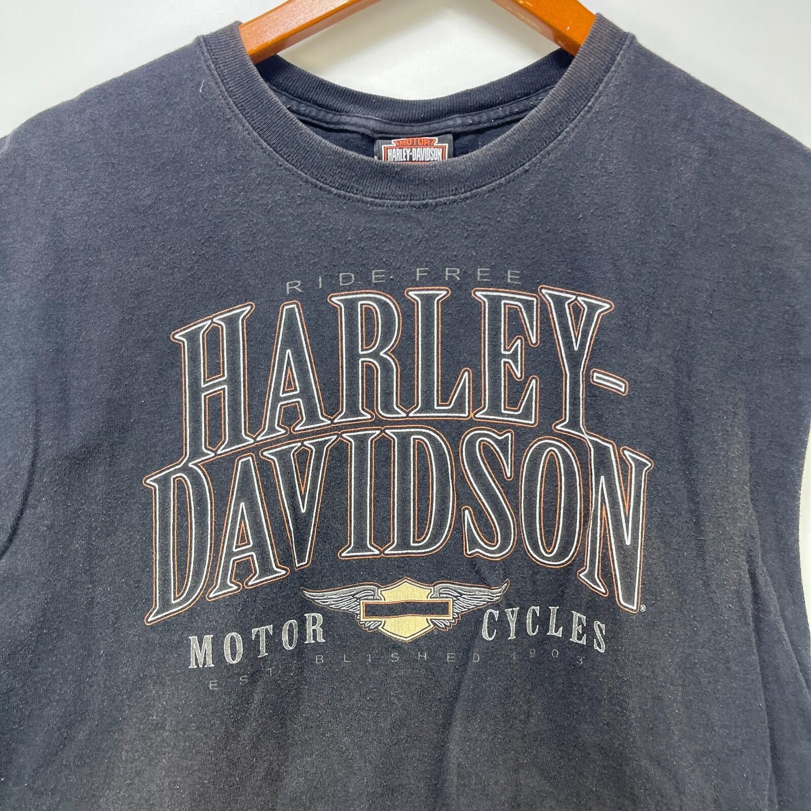 Harley Davidson Vintage Harley Davidson Faded Sleeveless Shirt XL Size US XL / EU 56 / 4 - 3 Thumbnail