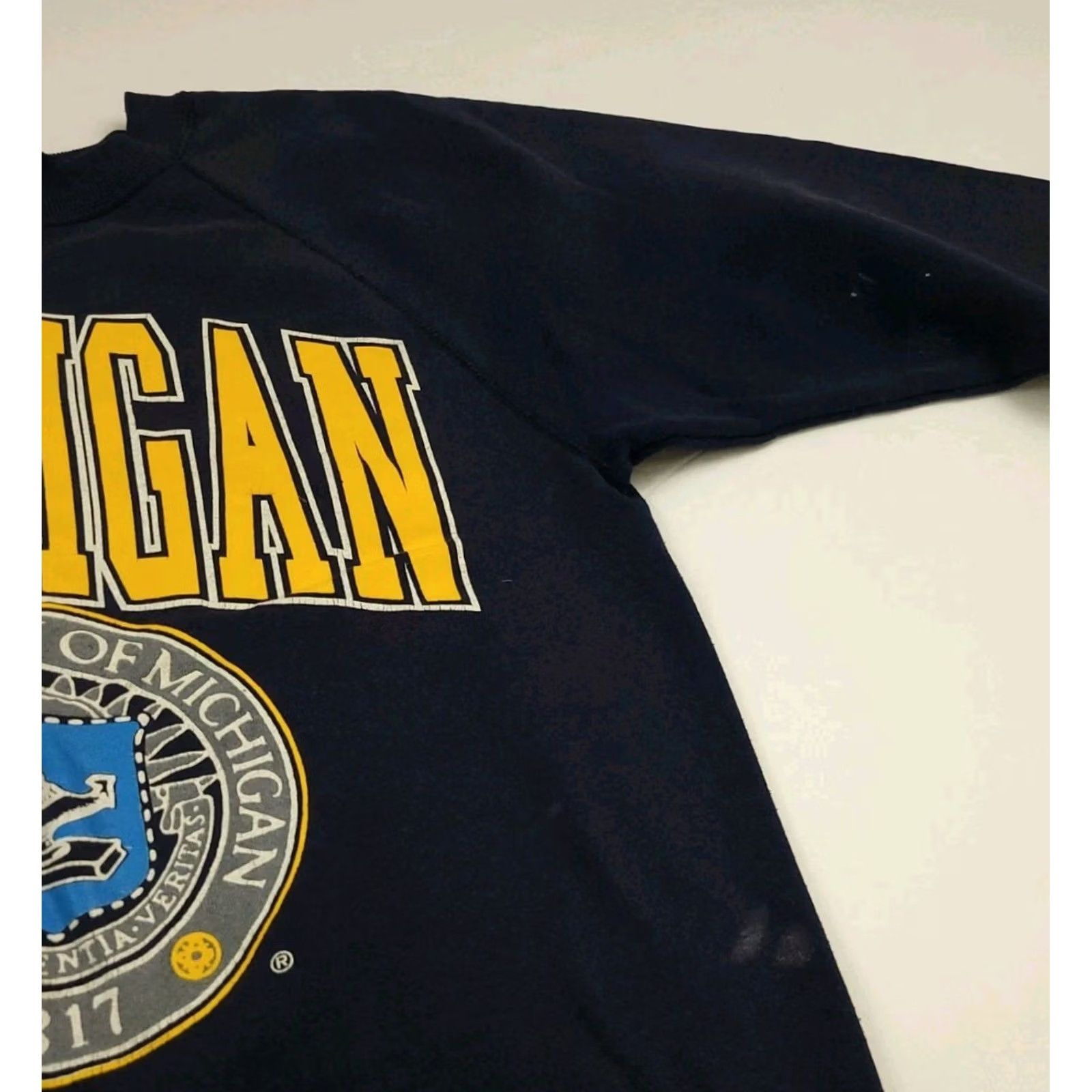 Vintage VINTAGE University Michigan Wolverines Sweatshirt 90s Raglan Print FADED PAINT Size US M / EU 48-50 / 2 - 3 Thumbnail