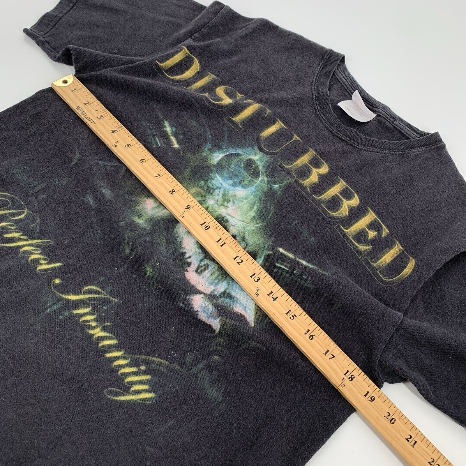 Hanes 2008 Disturbed Perfect Insanity Short Sleeve Band T-Shirt Size US M / EU 48-50 / 2 - 3 Thumbnail