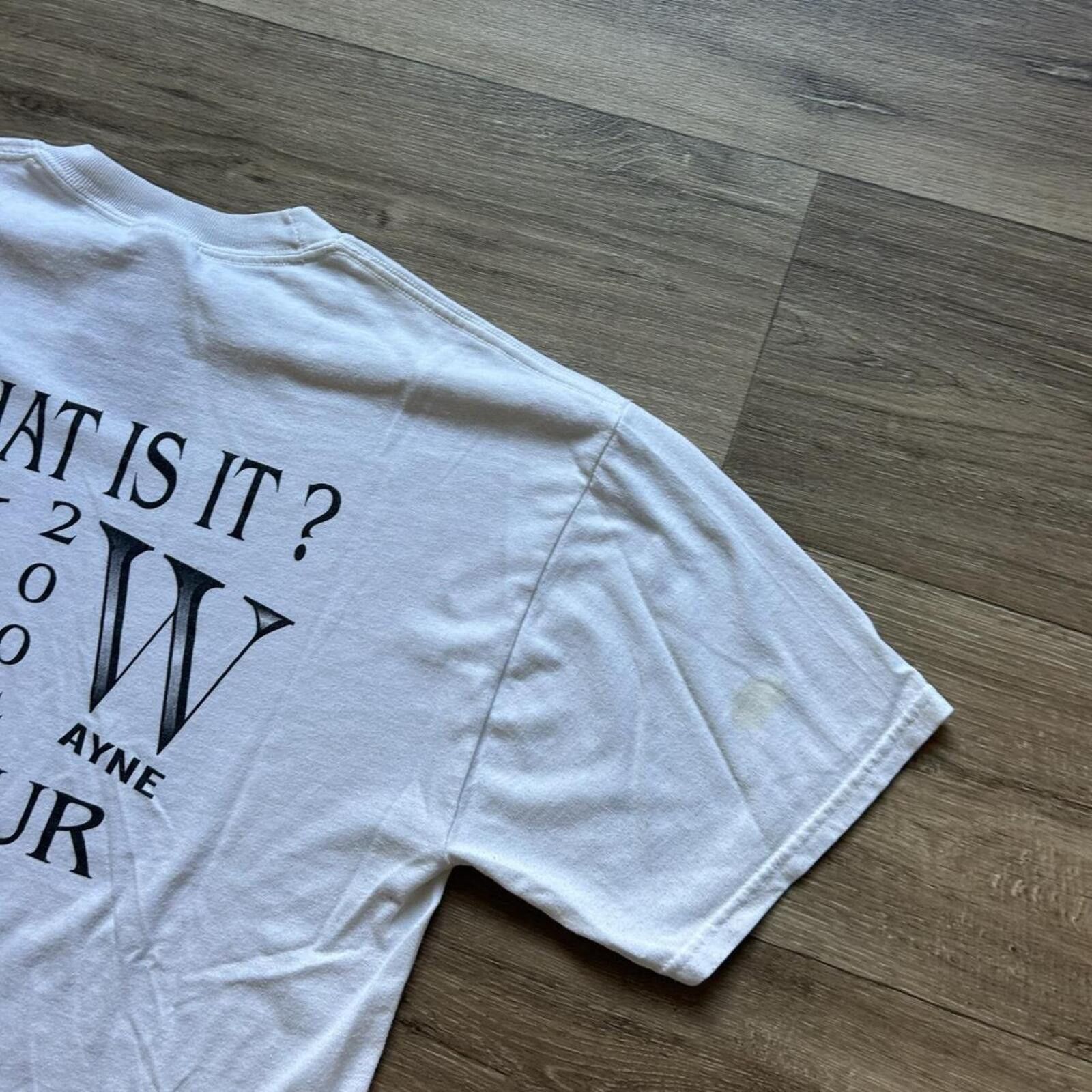 Gildan Vintage y2k Kenny Wayne 2004 Tour graphic t shirt L Size US L / EU 52-54 / 3 - 7 Thumbnail