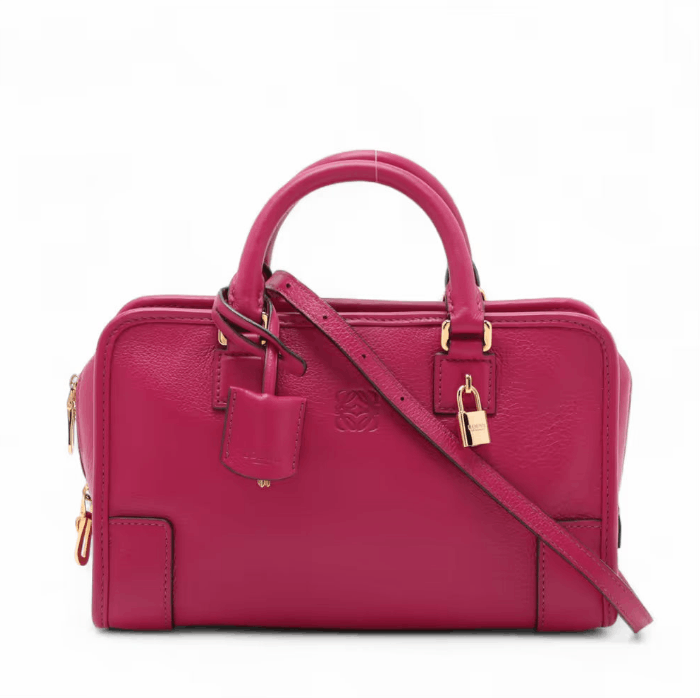 Loewe Amazona 23 Leather Two-Way Handbag Size ONE SIZE - 1 Thumbnail