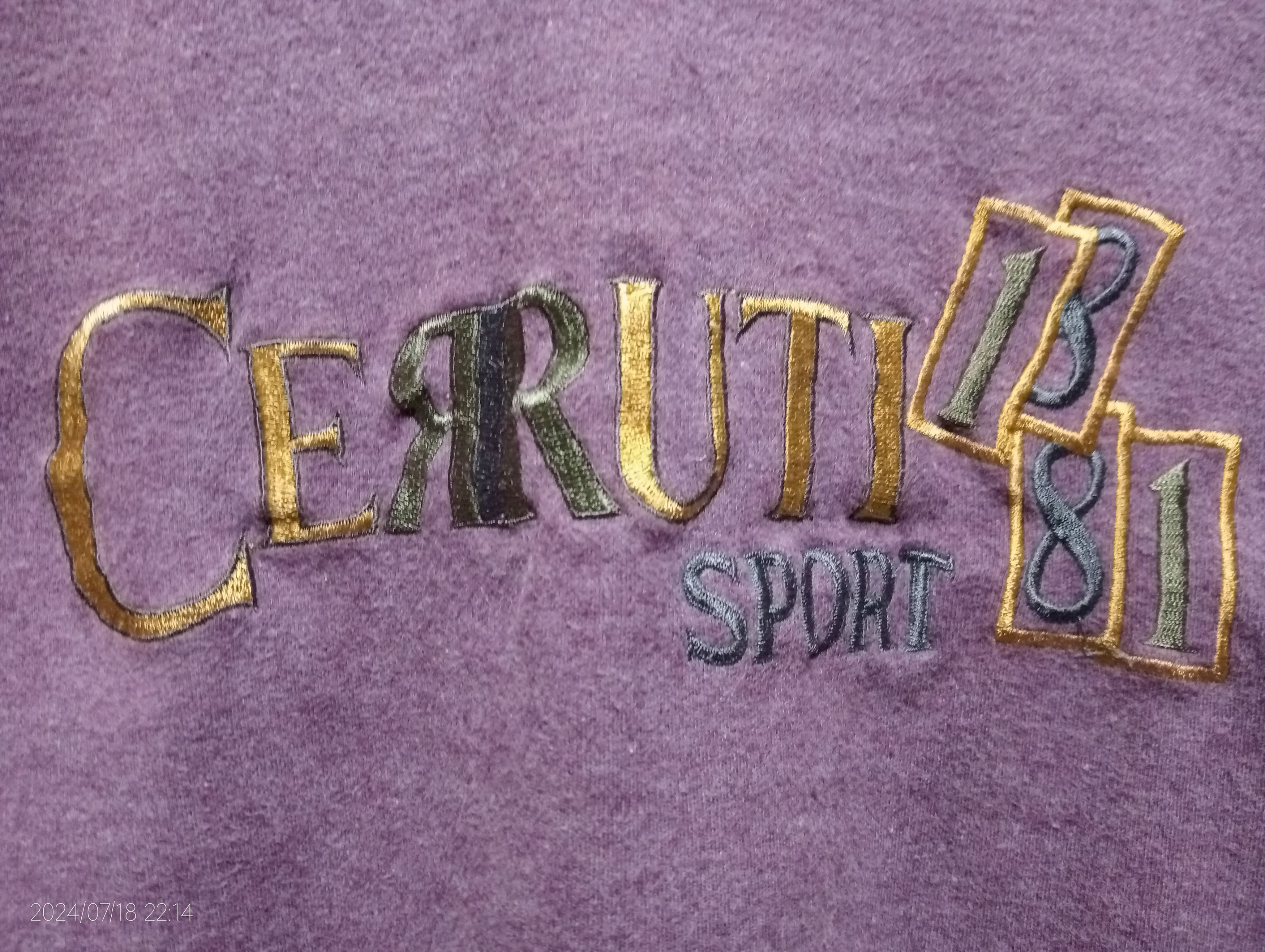 Cerruti 1881 Cerutti 1881 Sport S.P.A Italy Crewneck Sweatshirt Size US L / EU 52-54 / 3 - 3 Thumbnail