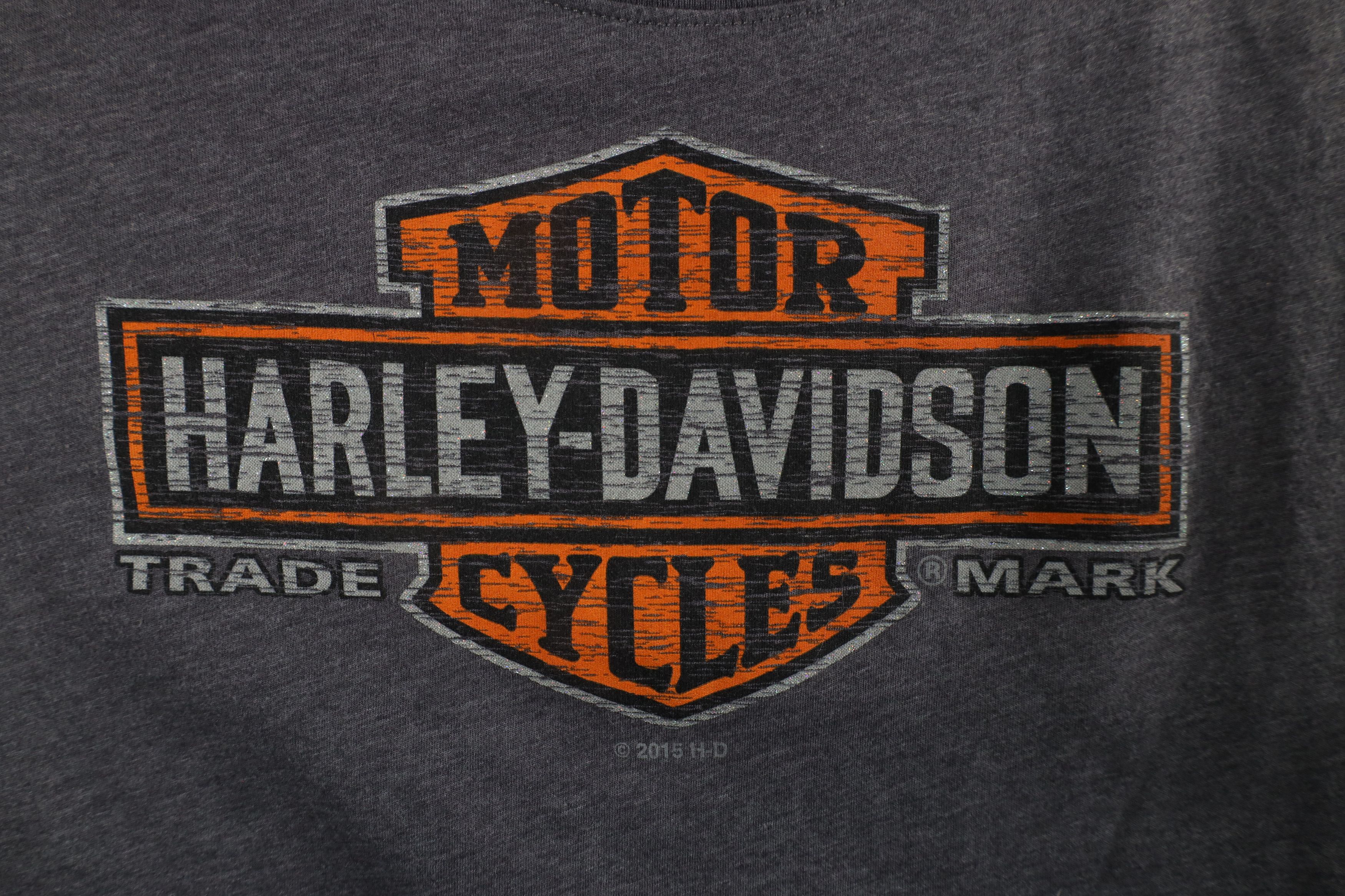 Harley Davidson × Vintage Y2K Harley Davidson Out Big Logo Jersey Knit T-Shirt Gray Size XL / US 12-14 / IT 48-50 - 4 Thumbnail