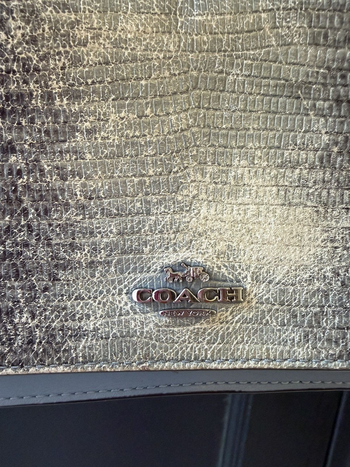 Coach Coach Hayden snakeskin lizard embossed leather crossbody bag Size ONE SIZE - 6 Thumbnail